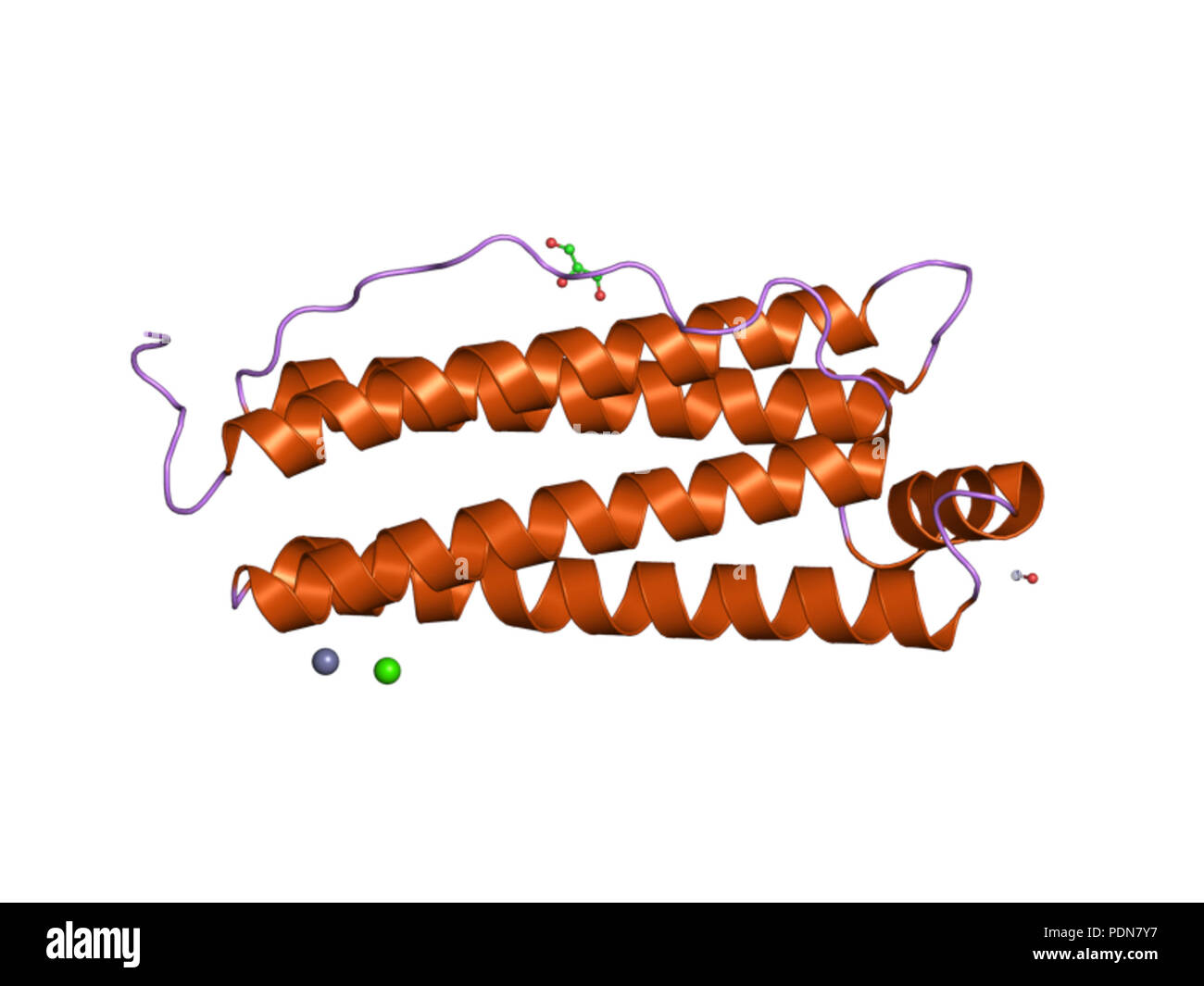 171 PDB 2cn6 EBI Stock Photo