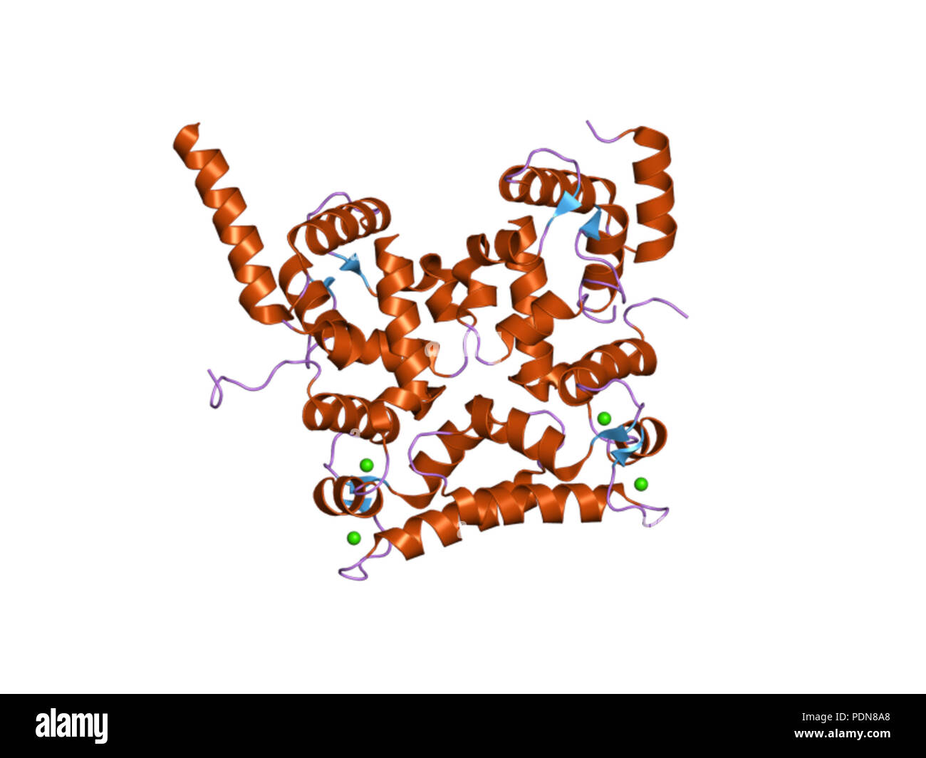 Белок том 1. Гомологичные белки. Белки с гомологичными последовательностями аминокислот. Мультяшные картинки структуры протеина. Кальцинейрин.