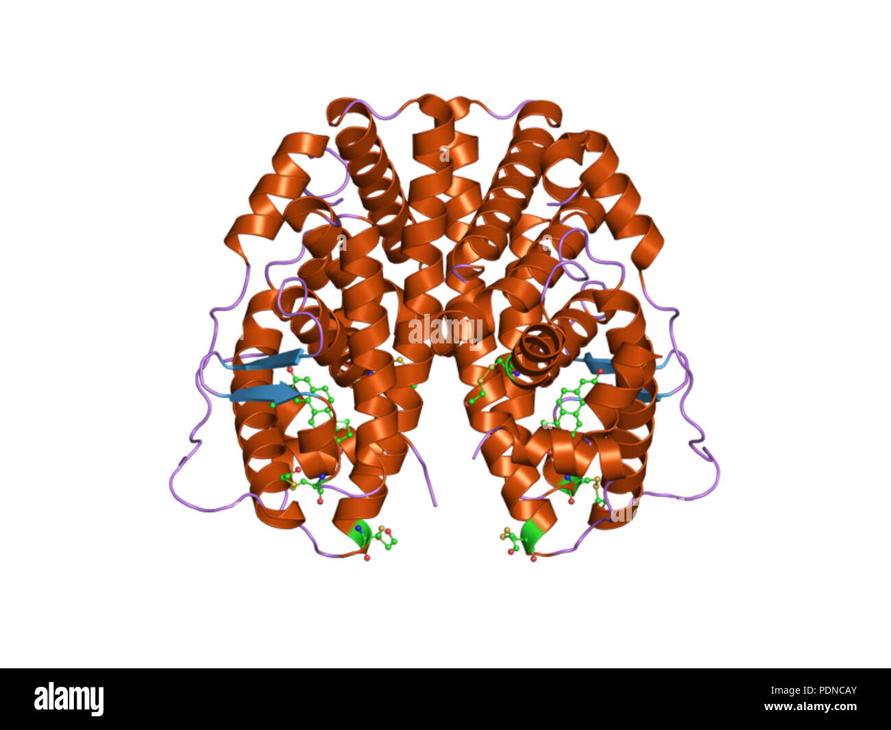 191 PDB 2g5o EBI Stock Photo - Alamy