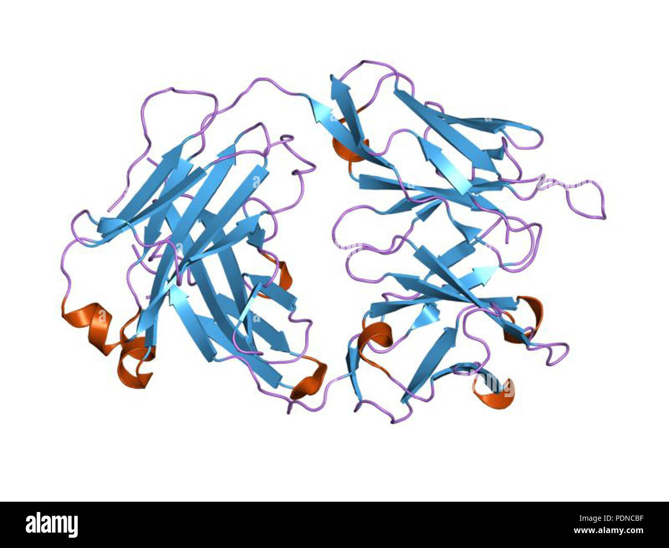 191 PDB 2g60 EBI Stock Photo - Alamy