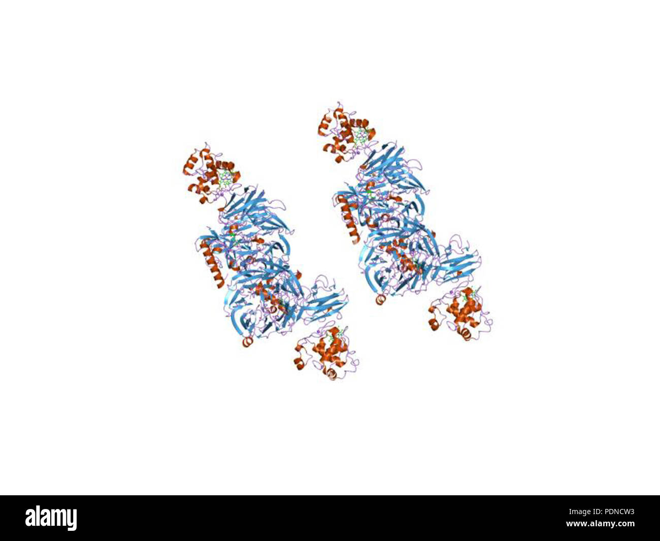 Proteins images Cut Out Stock Images & Pictures - Alamy