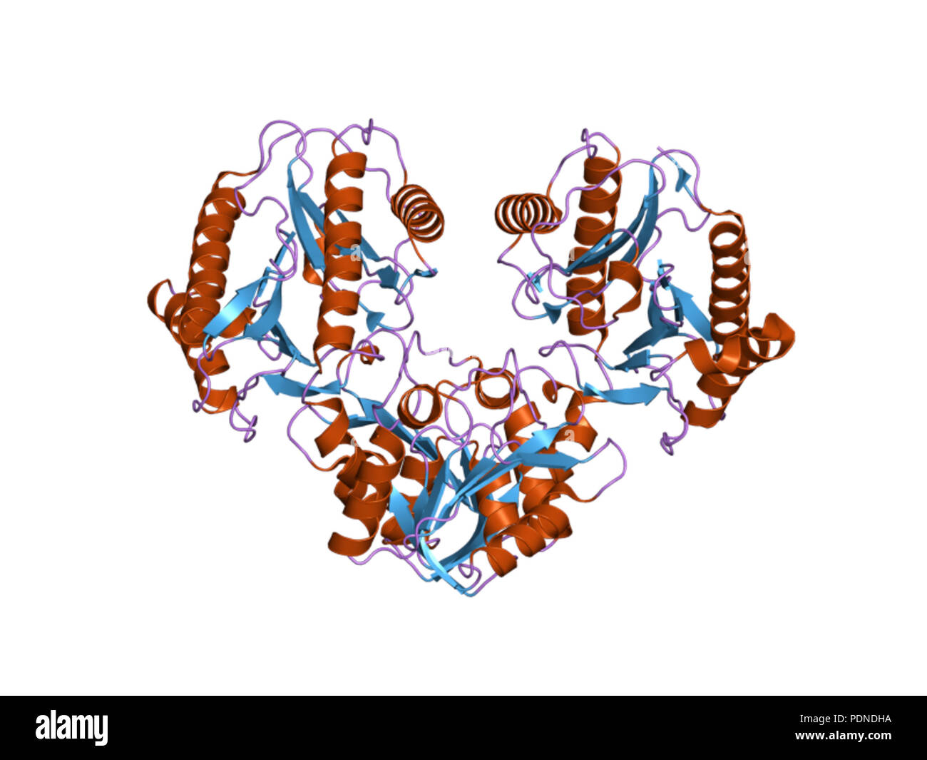 Cyclic symmetry Cut Out Stock Images & Pictures - Alamy