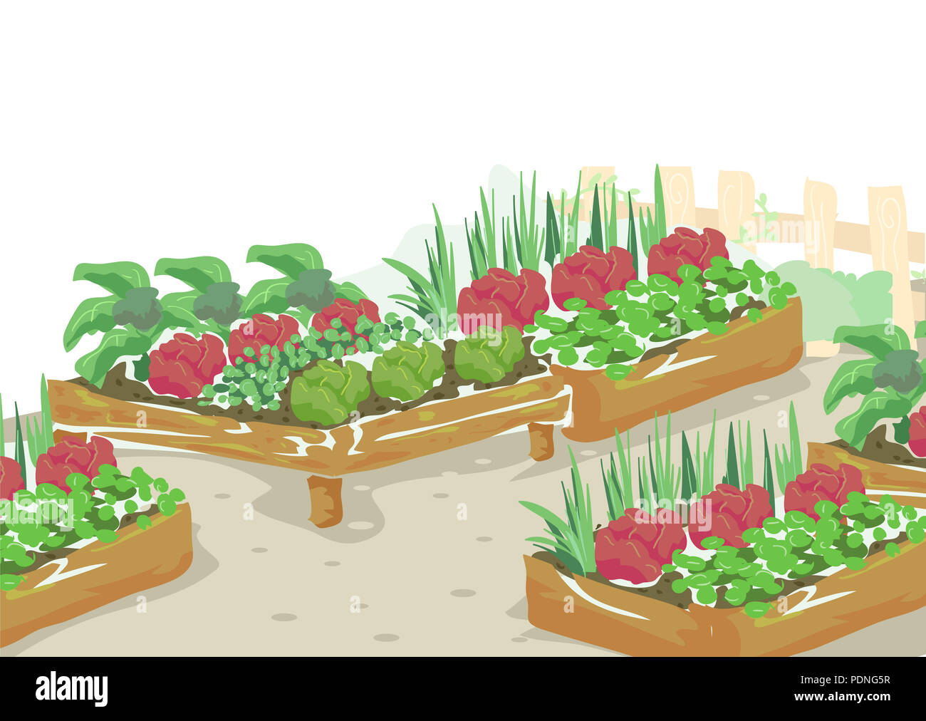 Illustration of Container Gardening with Different Edible Plants Ready for Harvest Stock Photo