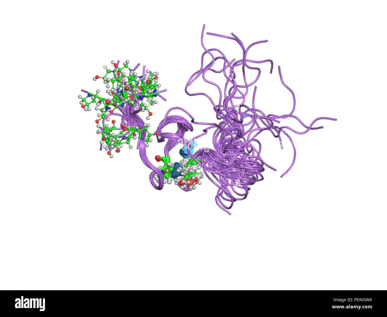 Enzyme theory hi-res stock photography and images - Alamy