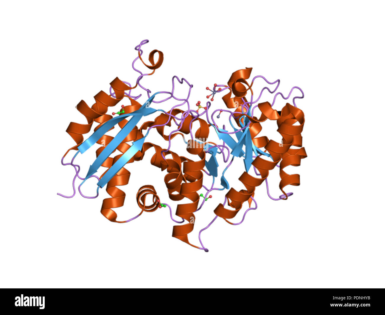 229 PDB 2ptw EBI Stock Photo