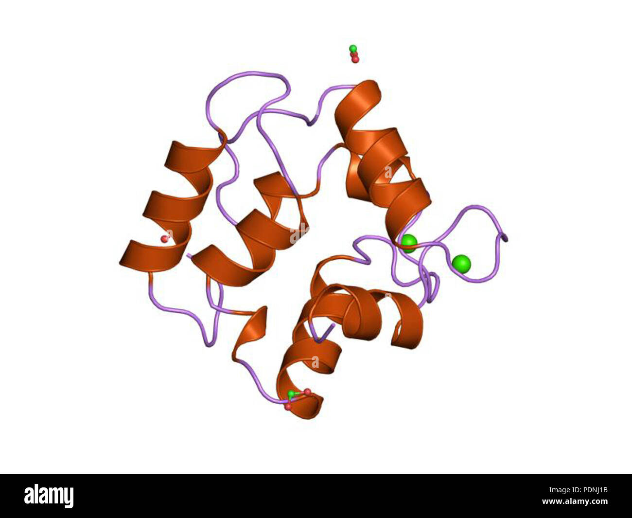 229 PDB 2pvb EBI Stock Photo