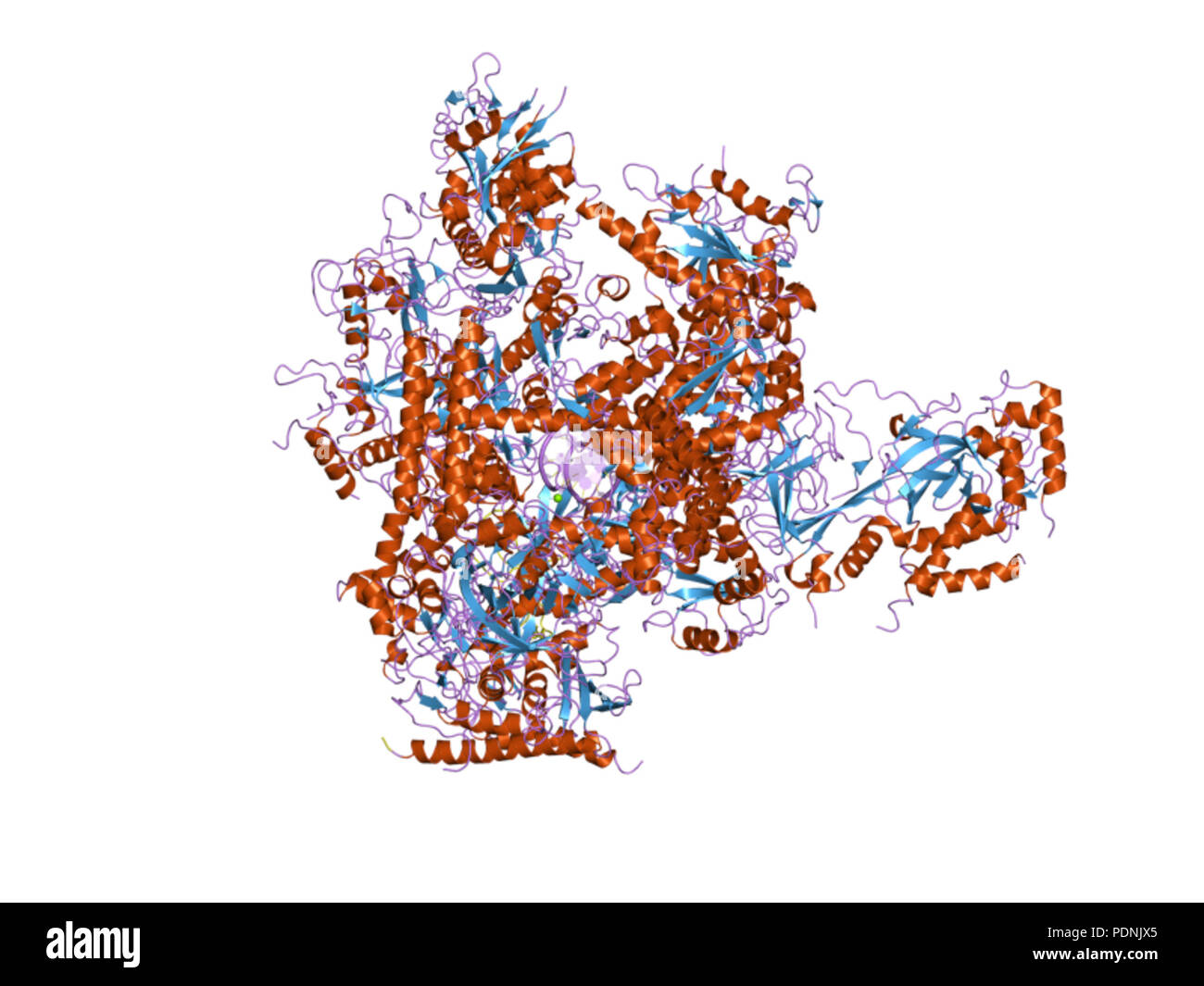 237 PDB 2r92 EBI Stock Photo