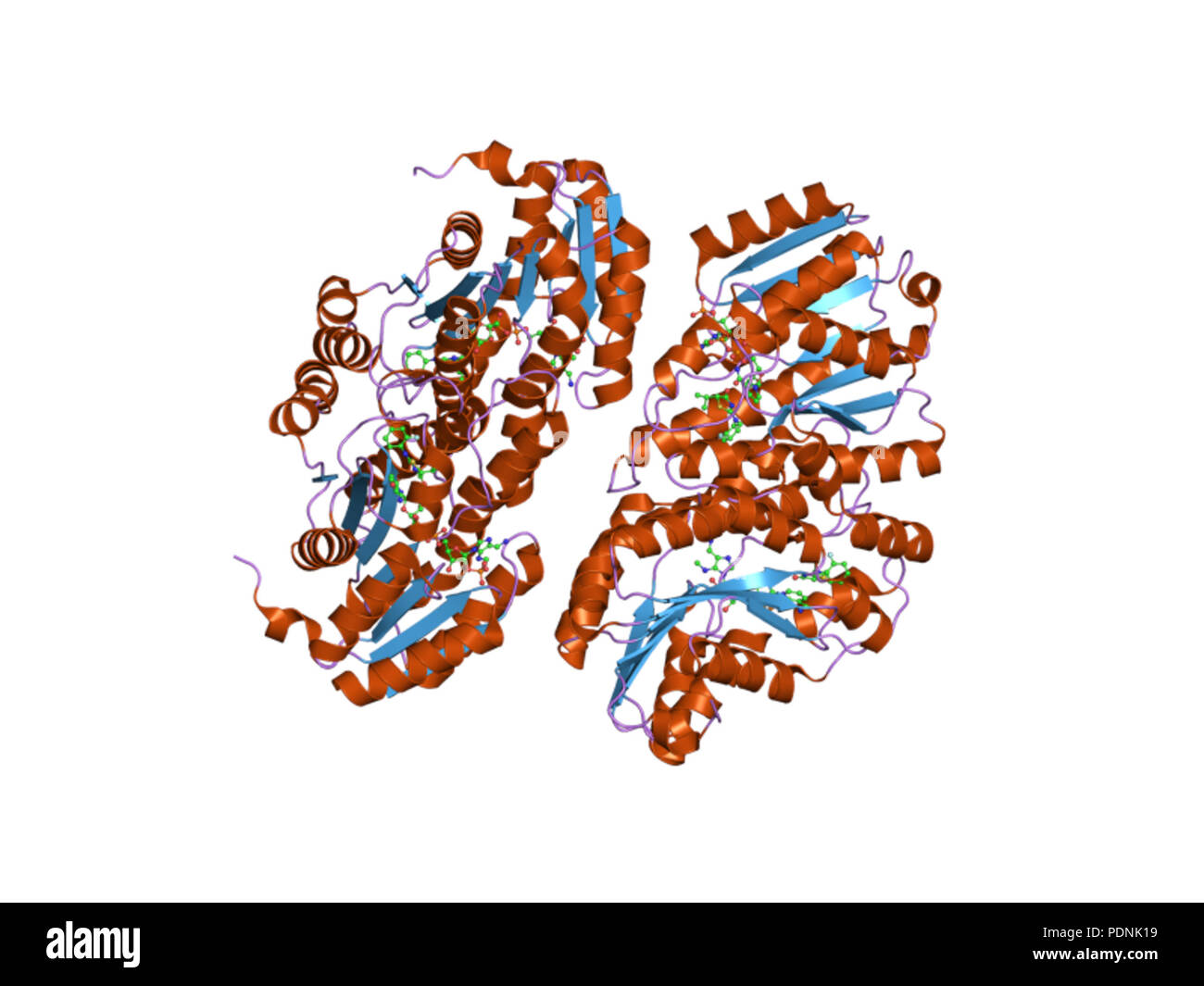 238 PDB 2rbe EBI Stock Photo