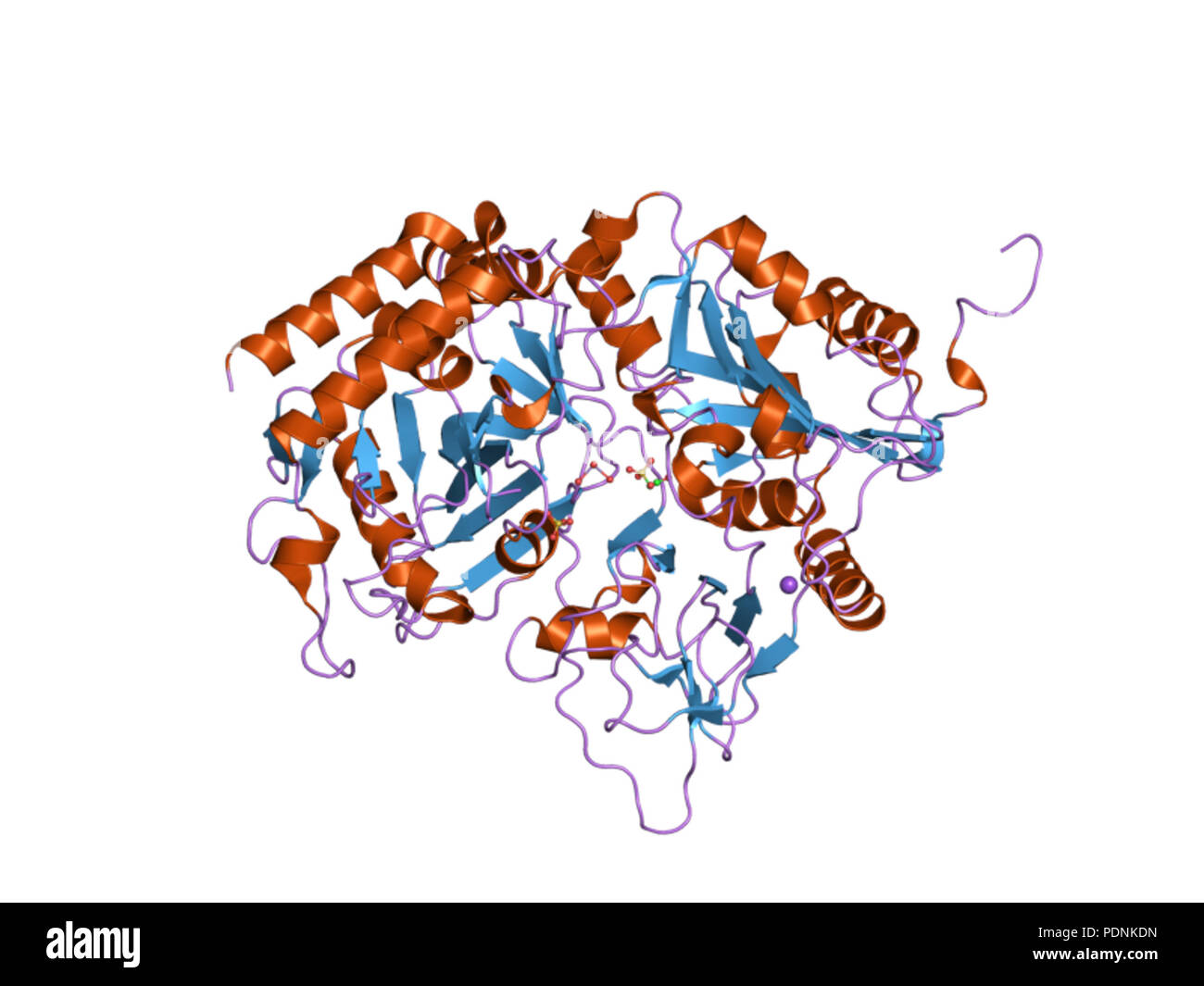 Dna substrate hi-res stock photography and images - Alamy