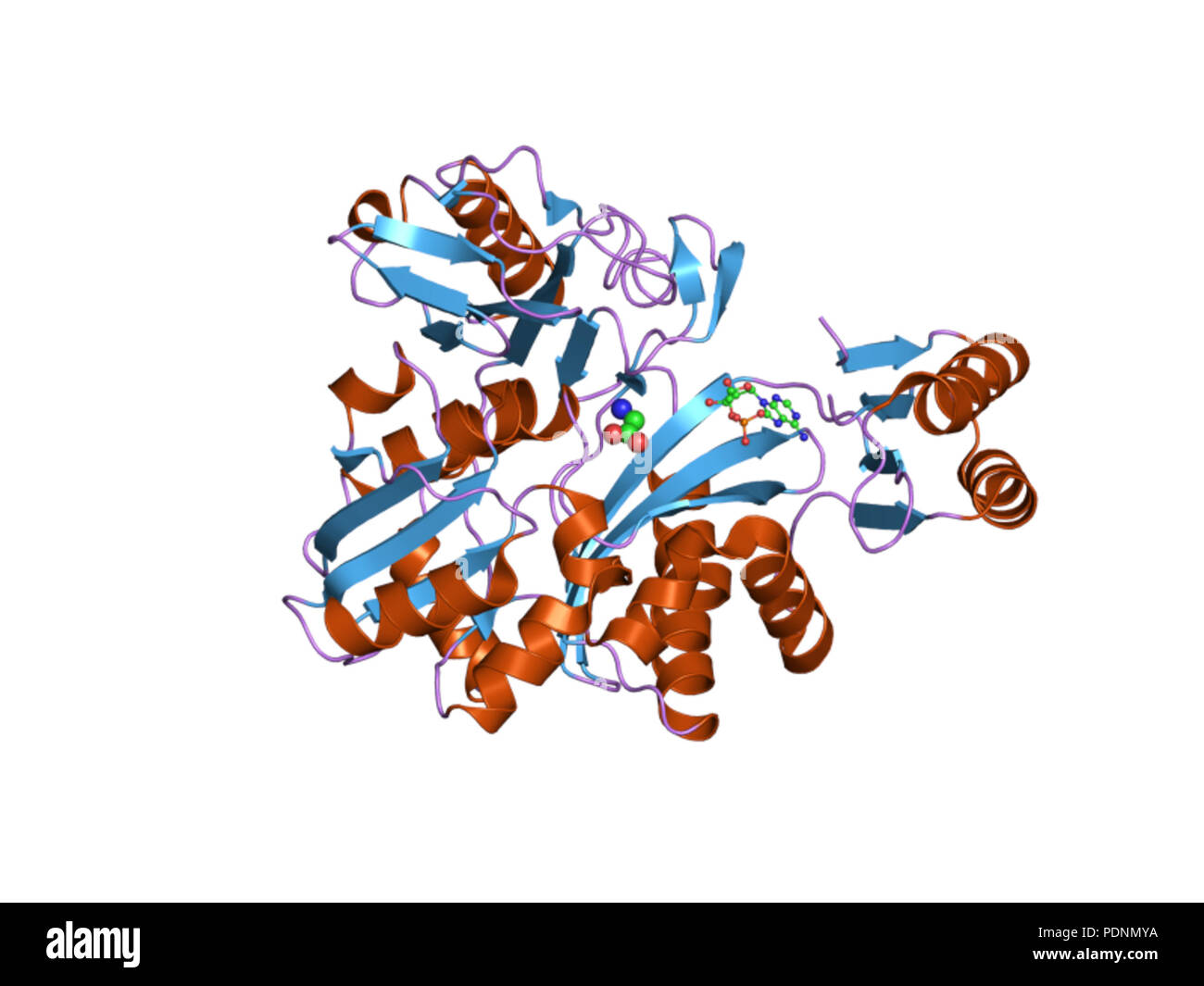 250 PDB 2ys6 EBI Stock Photo
