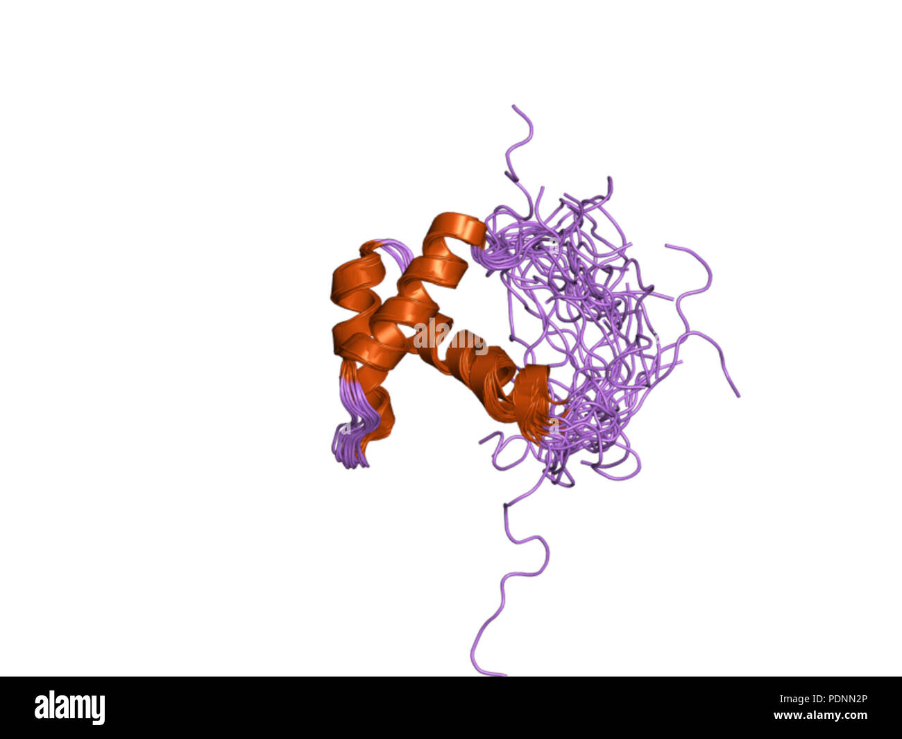 250 PDB 2yum EBI Stock Photo - Alamy