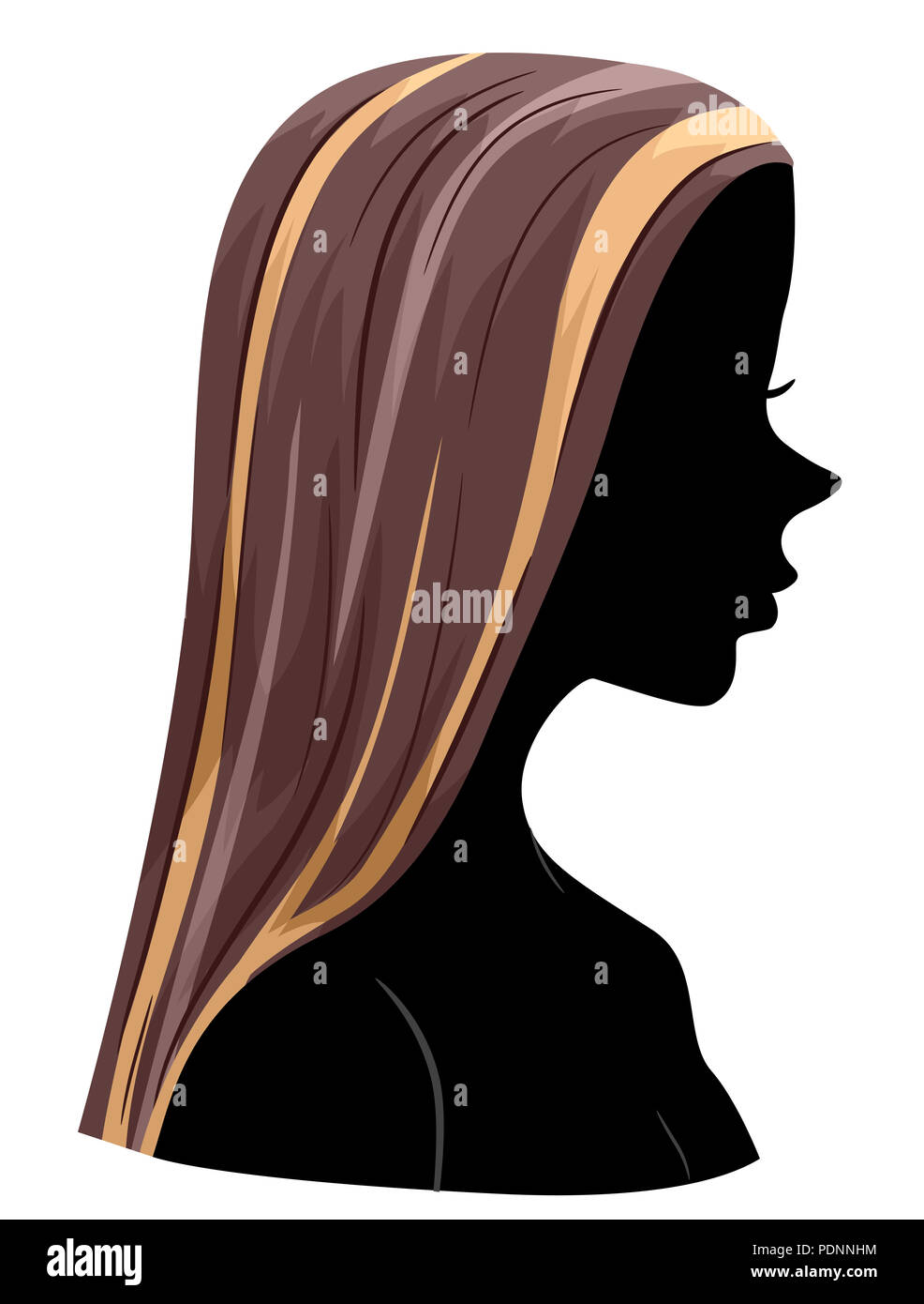 Illustration of a Girl Silhouette Showing Hair Highlights Stock Photo -  Alamy