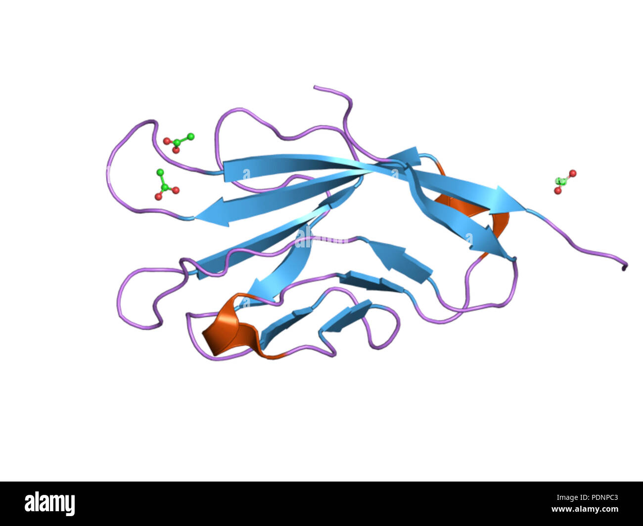 260 PDB 3bi9 EBI Stock Photo