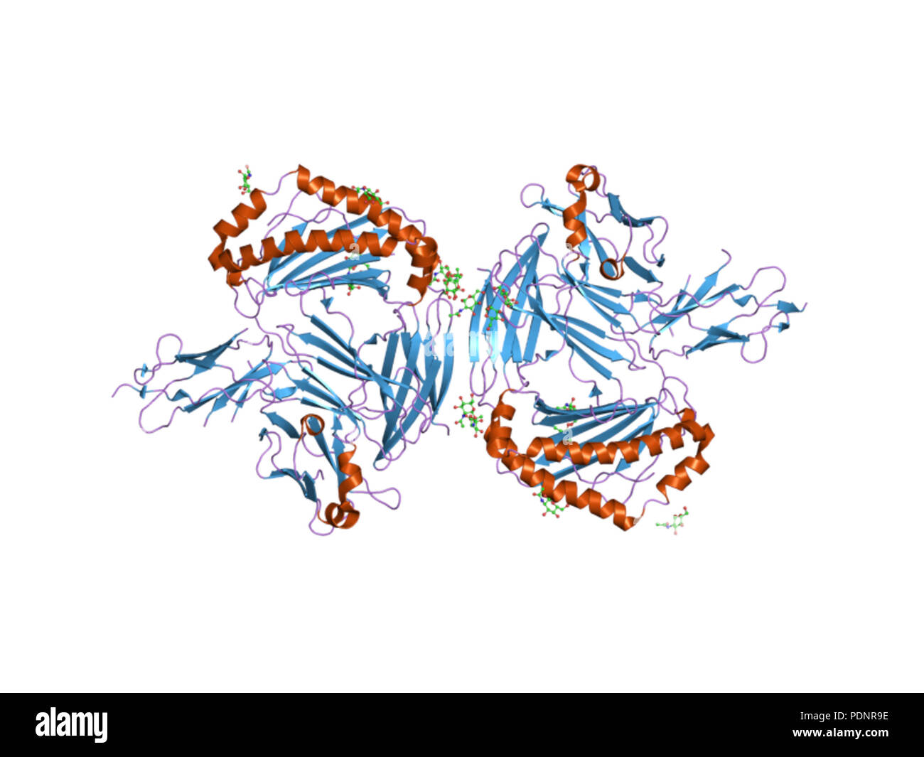 269 PDB 3d2u EBI Stock Photo - Alamy