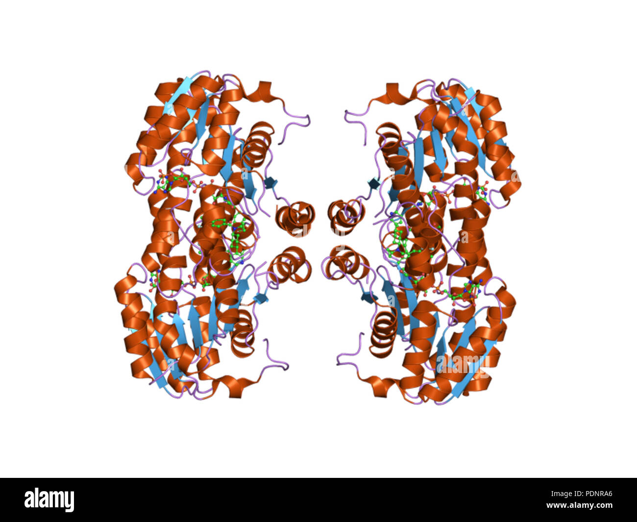 269 PDB 3d3e EBI Stock Photo - Alamy