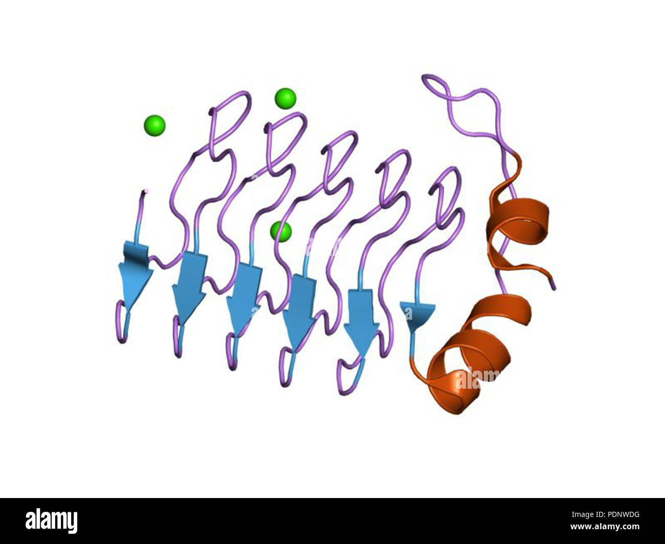 191 PDB 2g0y EBI Stock Photo - Alamy