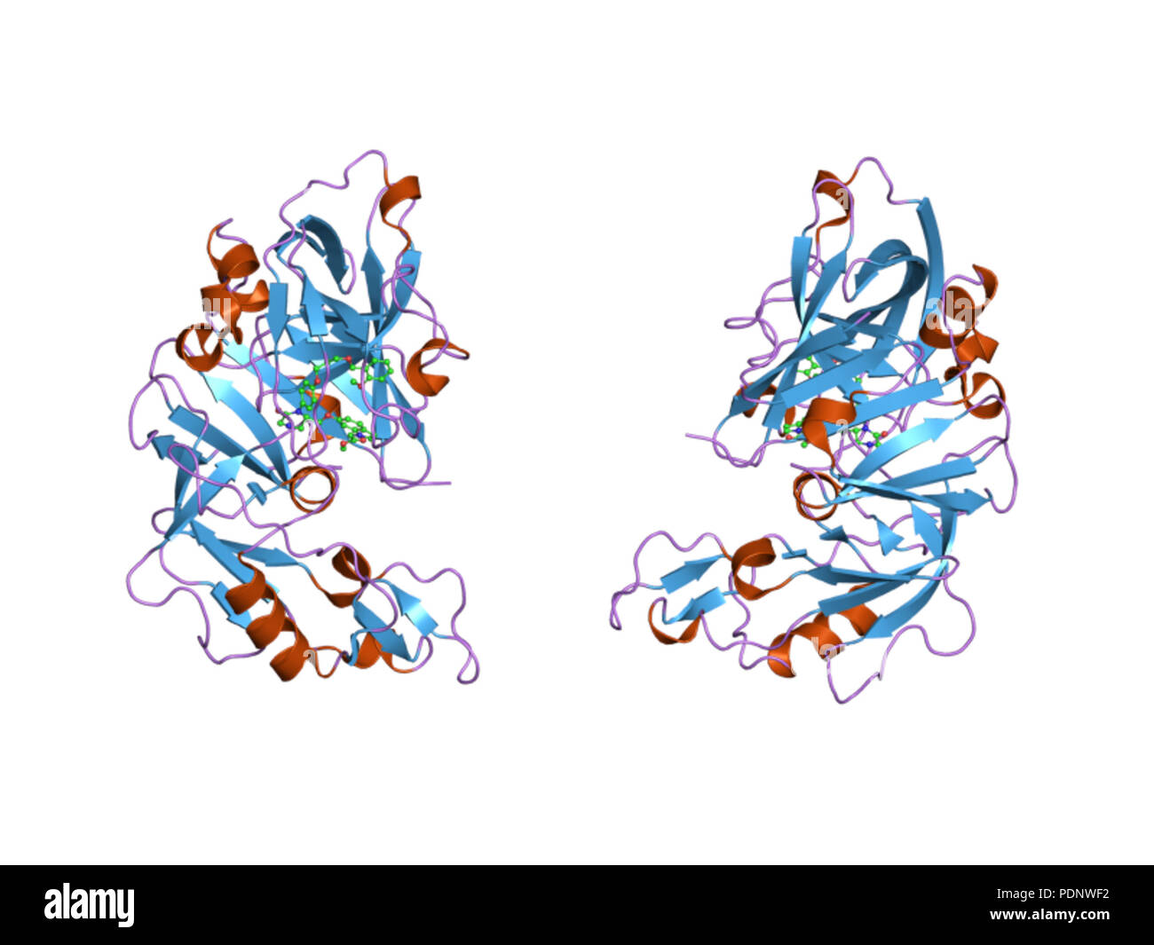 191 PDB 2g27 EBI Stock Photo - Alamy