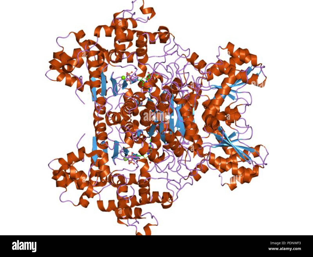 191 PDB 2g28 EBI Stock Photo - Alamy