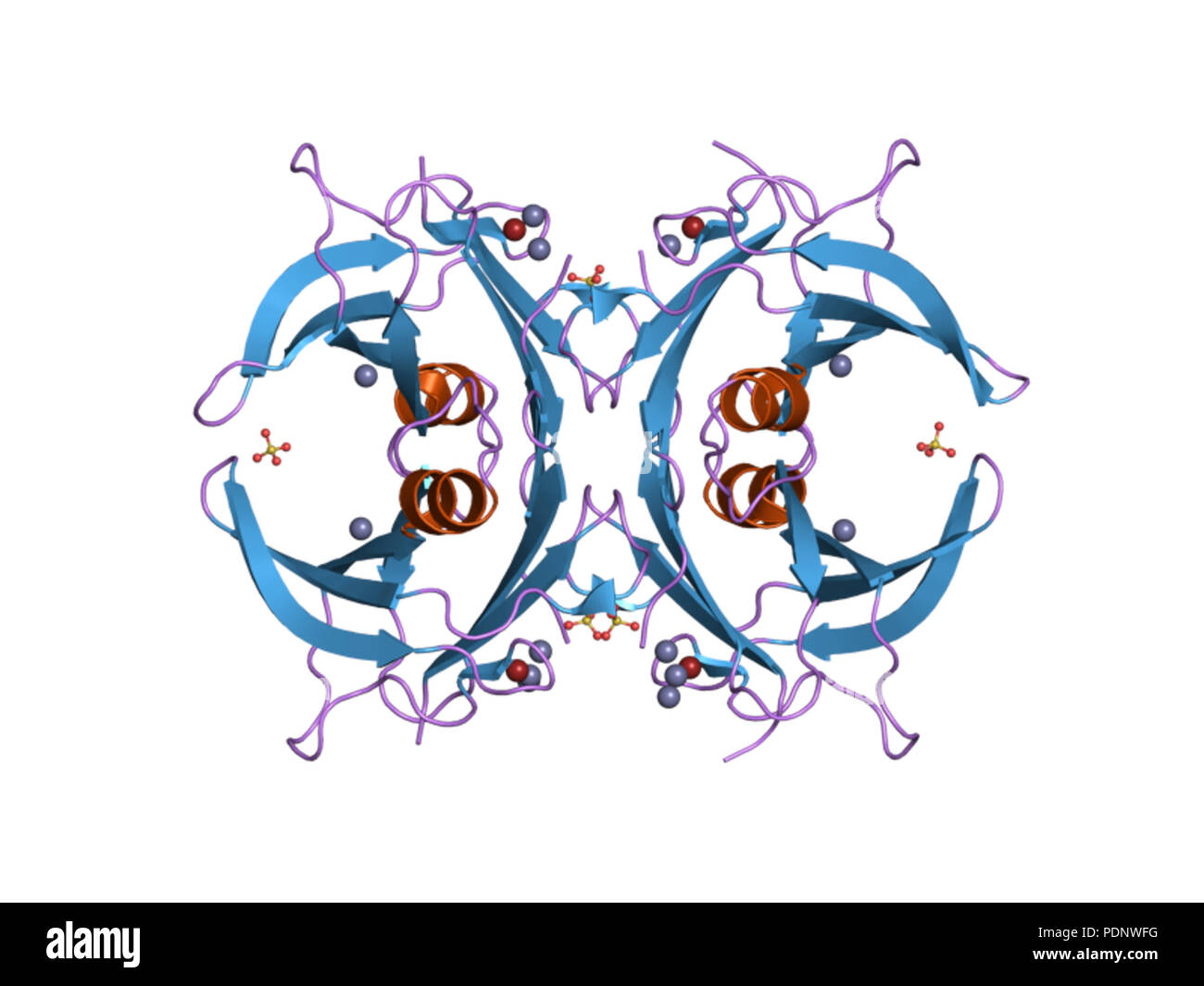 191 PDB 2g2p EBI Stock Photo - Alamy