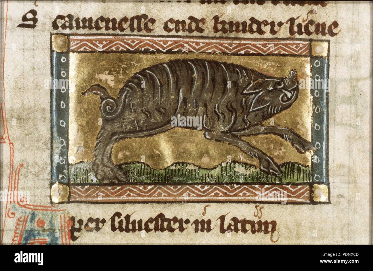 Aper silvestris (wild boar) - Der naturen bloeme - Jacob van Maerlant ...