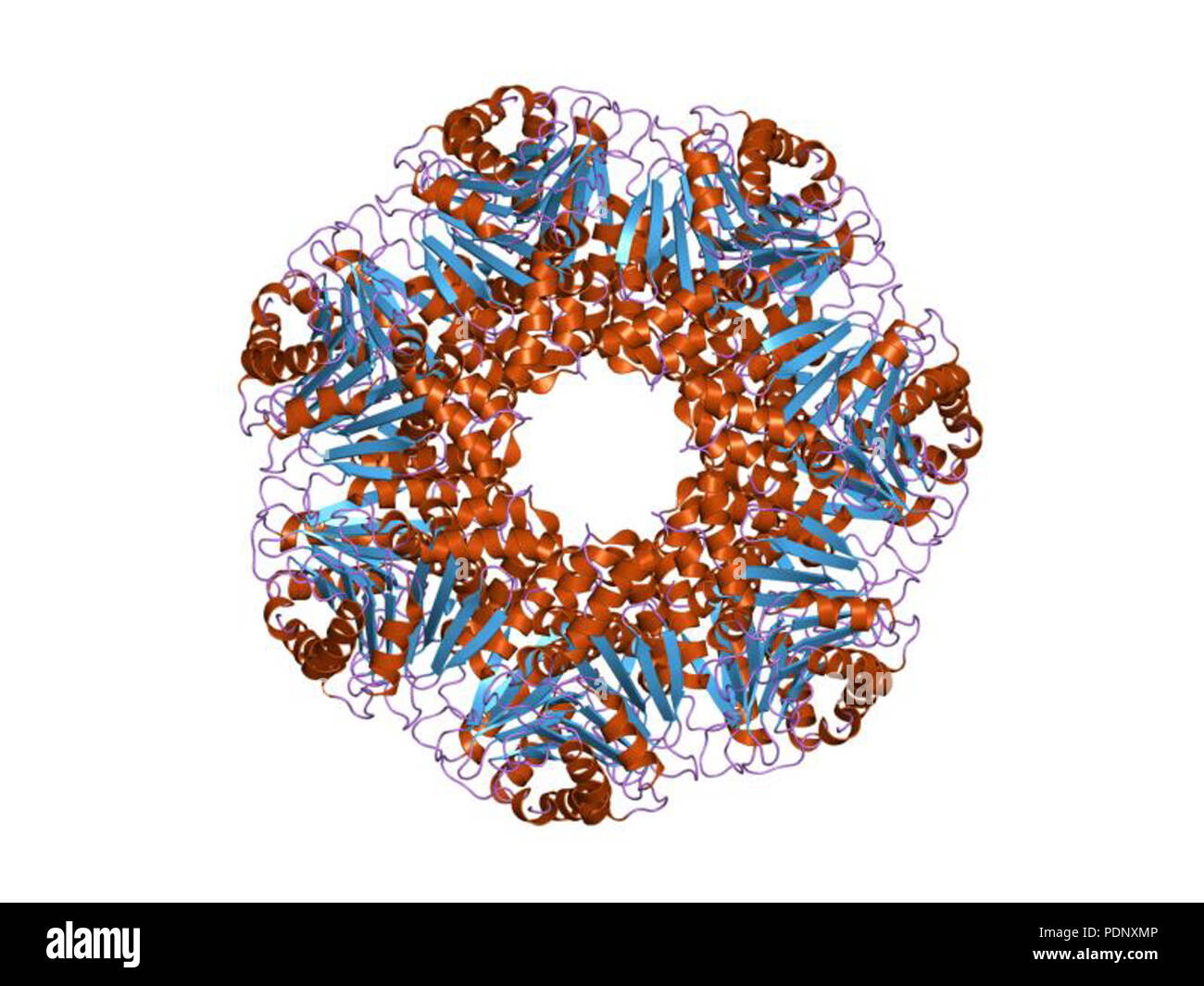 Enzyme activation and inhibition hi-res stock photography and images ...