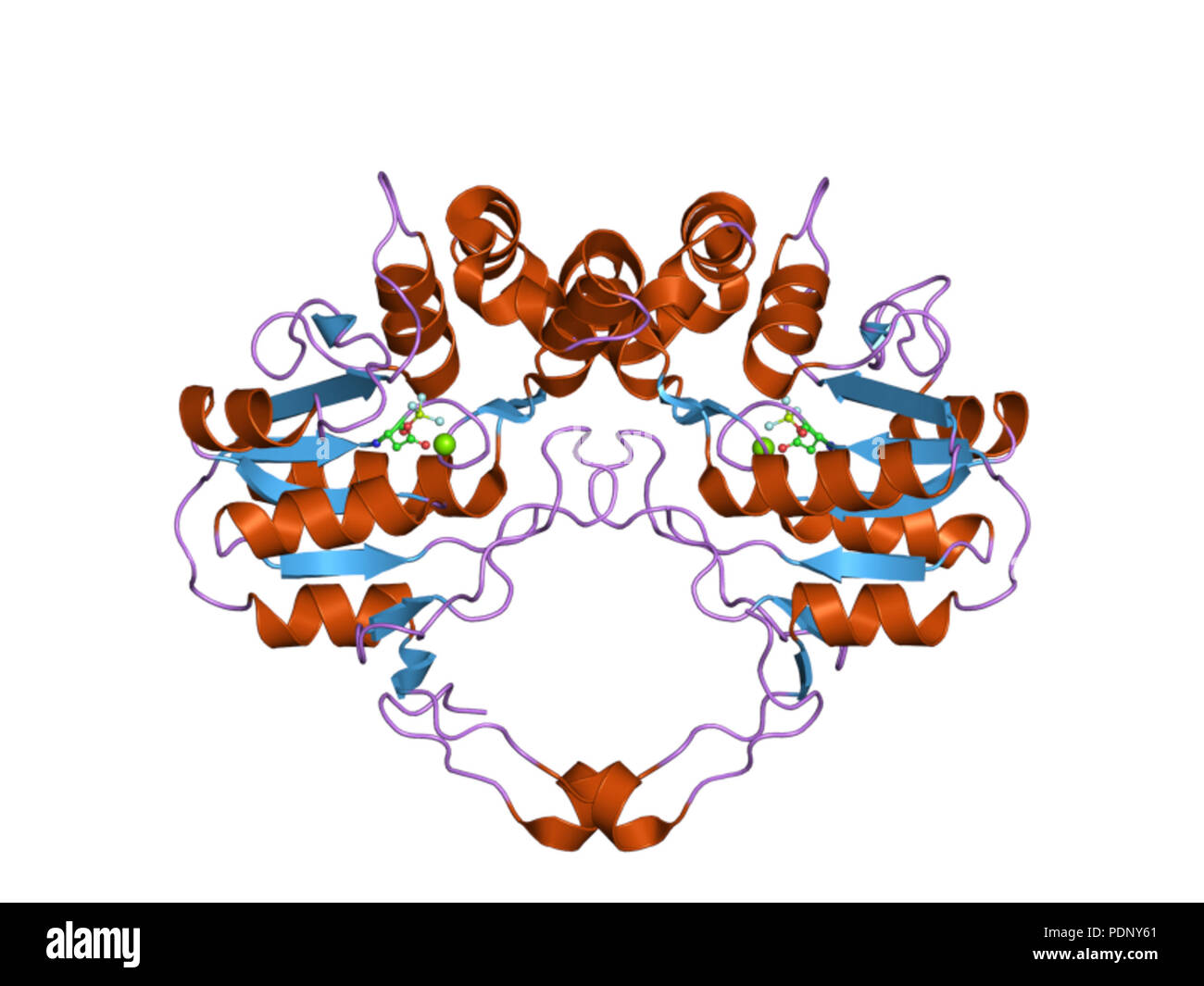 198 PDB 2heg EBI Stock Photo - Alamy