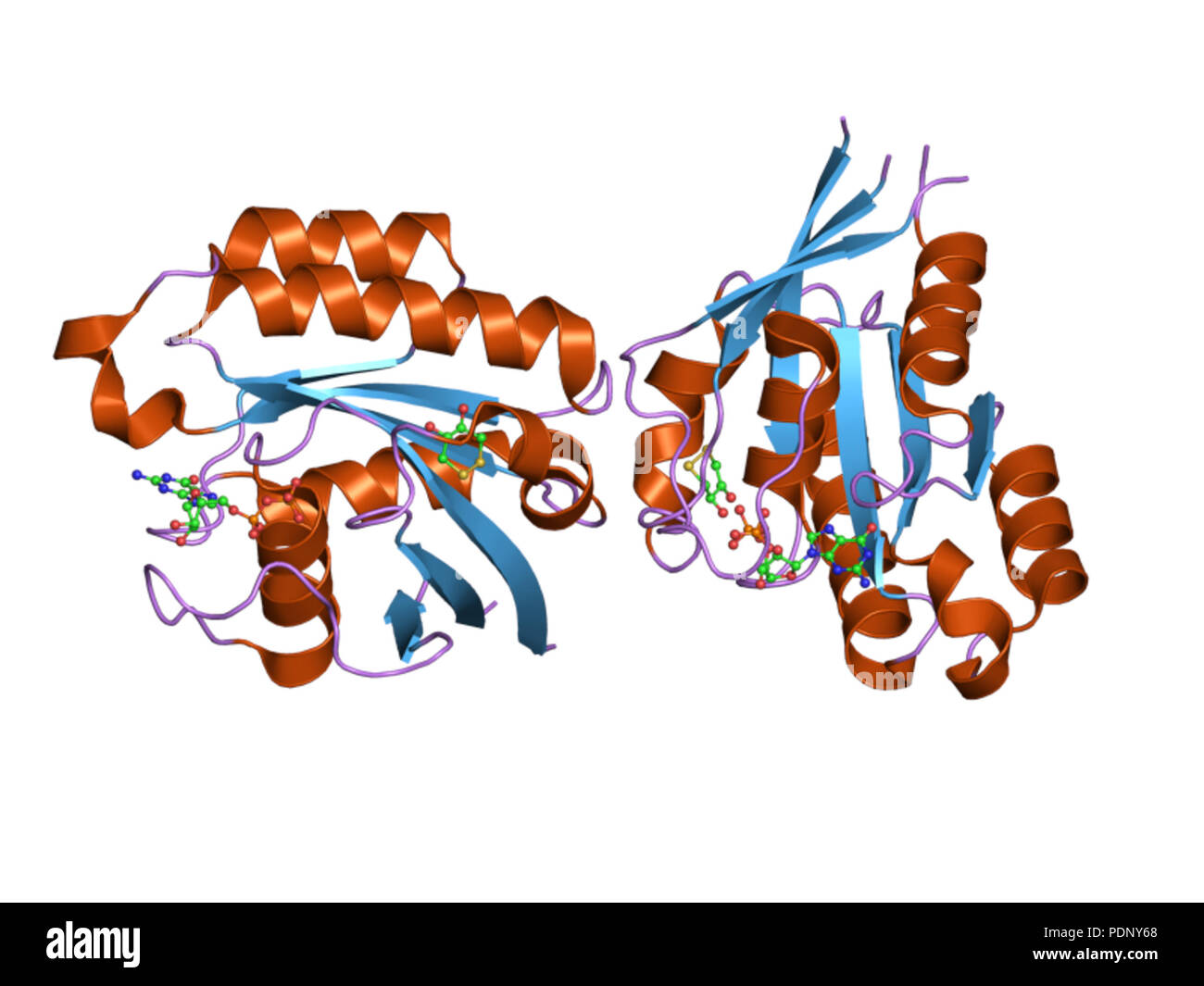 198 PDB 2hei EBI Stock Photo - Alamy