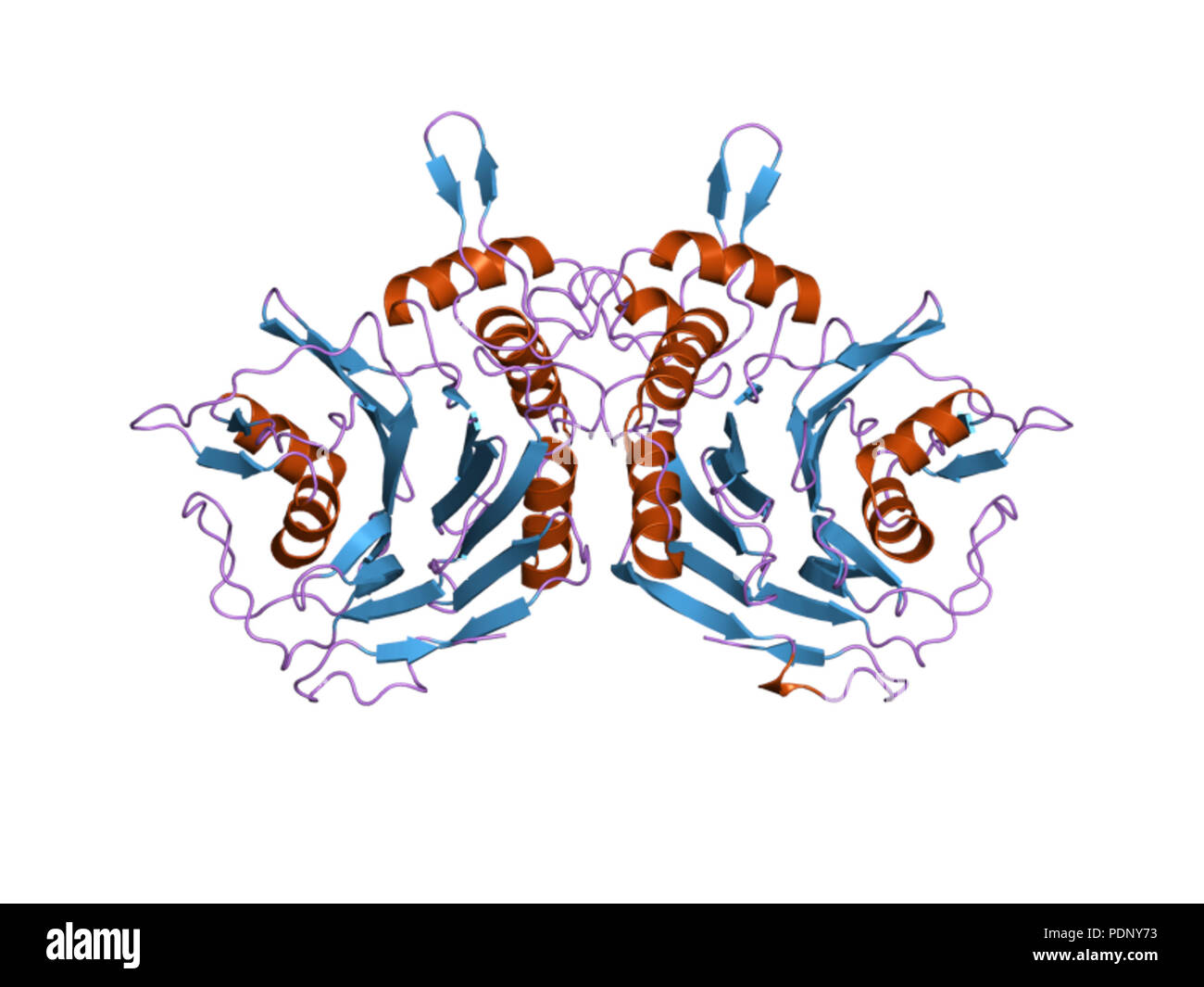 198 PDB 2hf0 EBI Stock Photo - Alamy