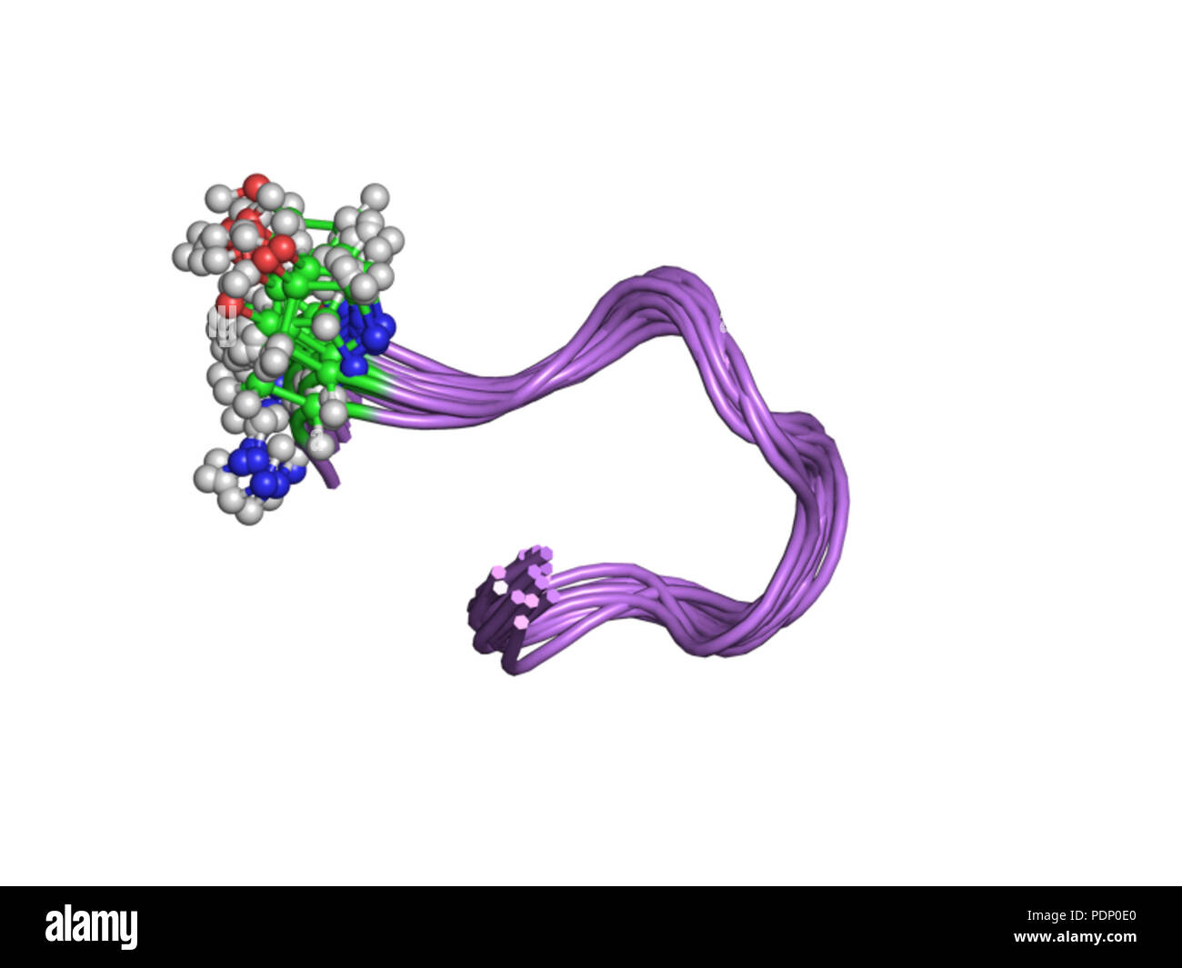 Enzyme activity diagram hi-res stock photography and images - Alamy