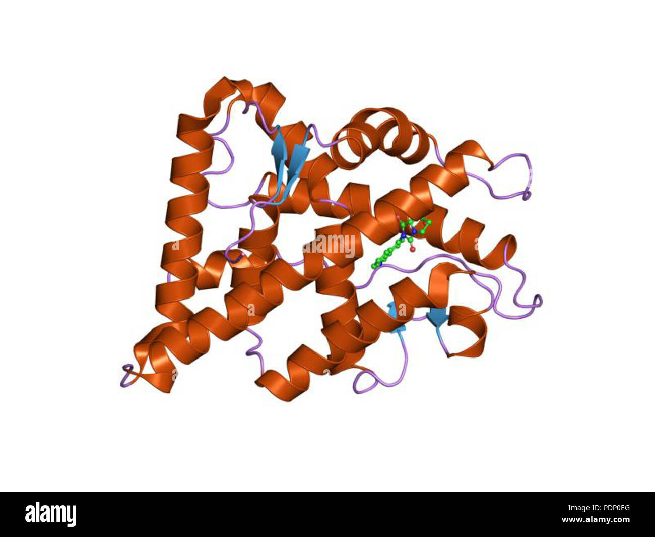205 PDB 2ihq EBI Stock Photo