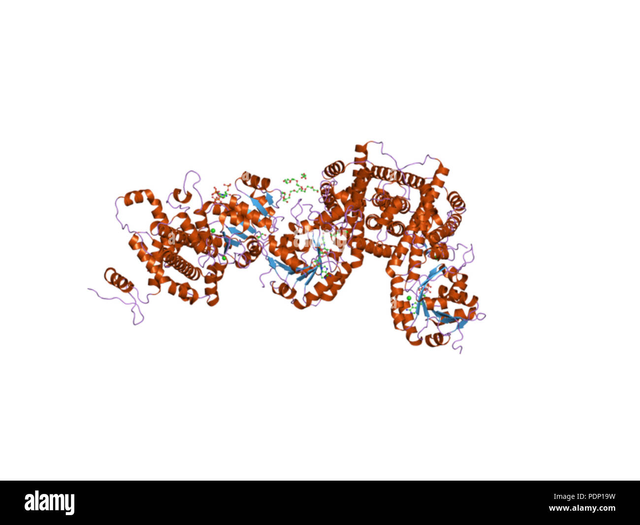207 PDB 2iz0 EBI Stock Photo