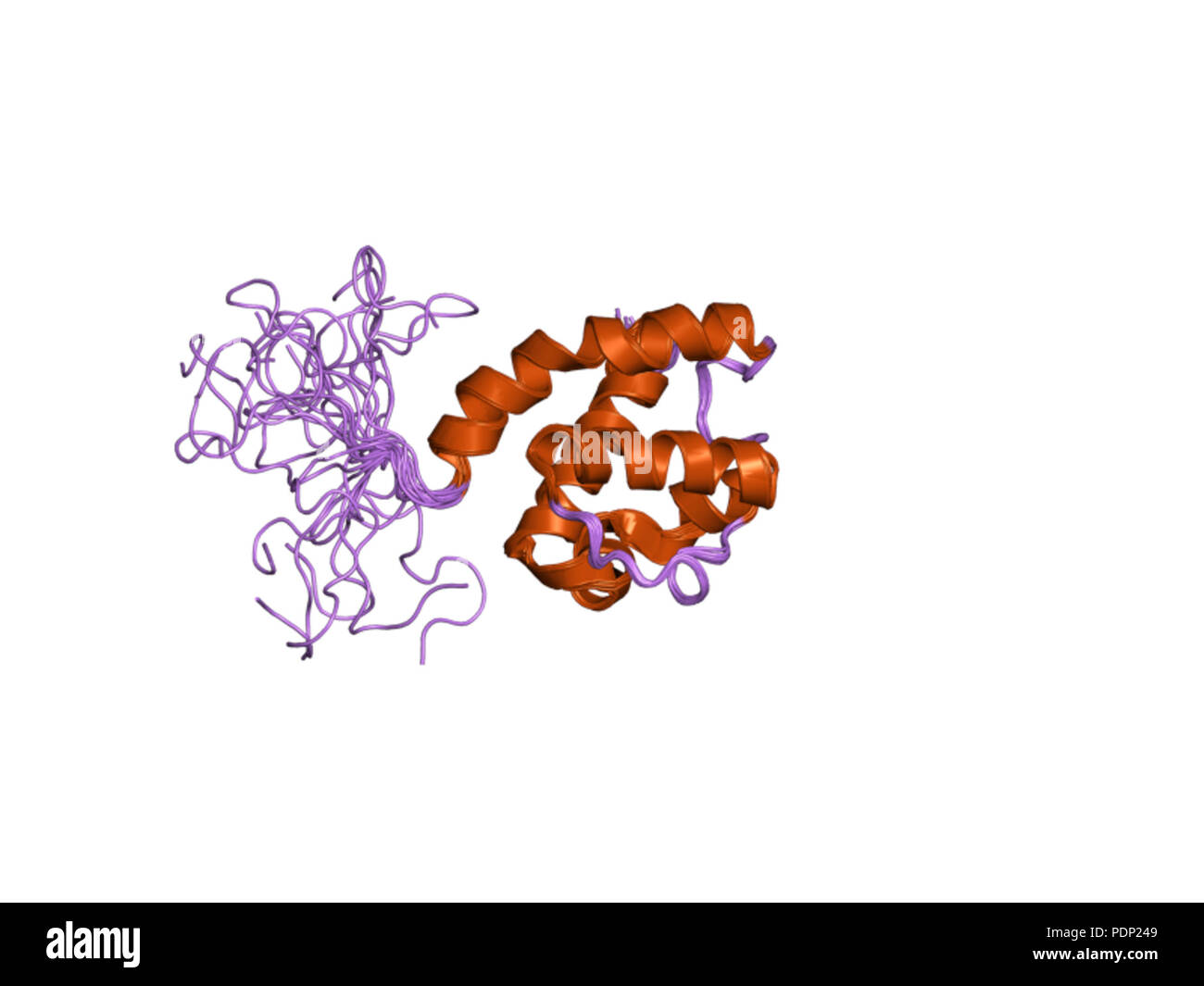 Biomedical systems hi-res stock photography and images - Alamy
