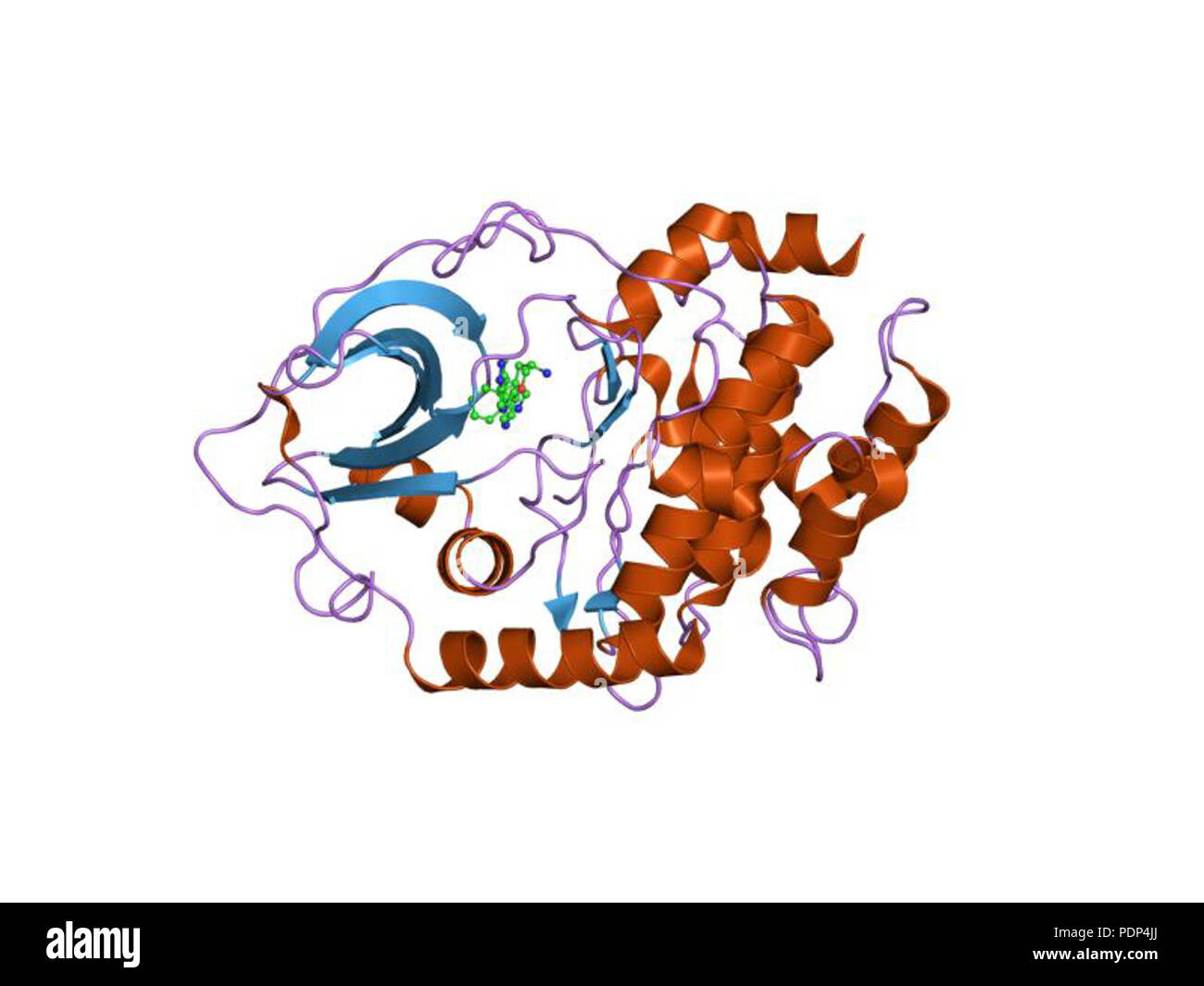 221 PDB 2ojf EBI Stock Photo