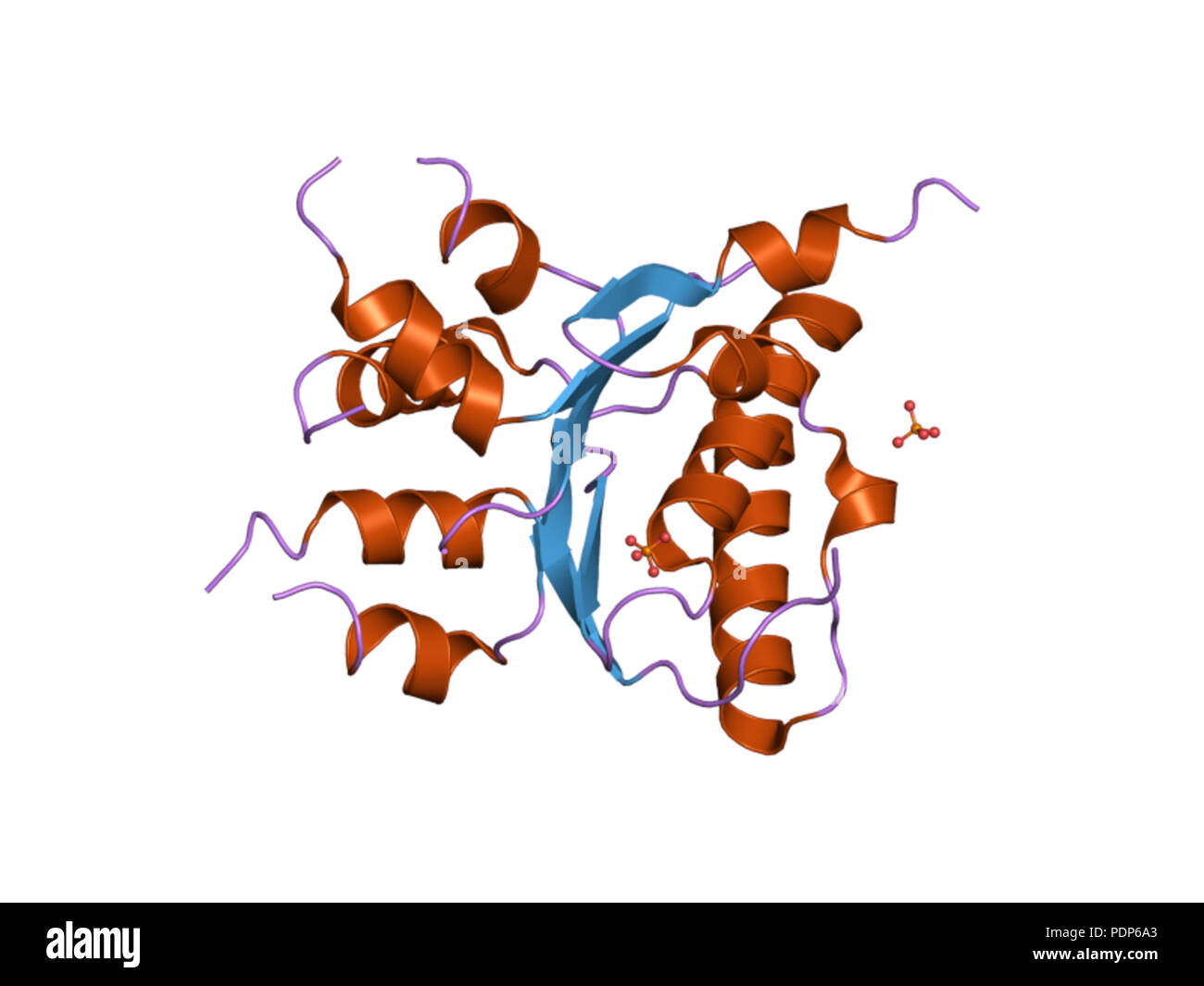 233 PDB 2qgz EBI Stock Photo