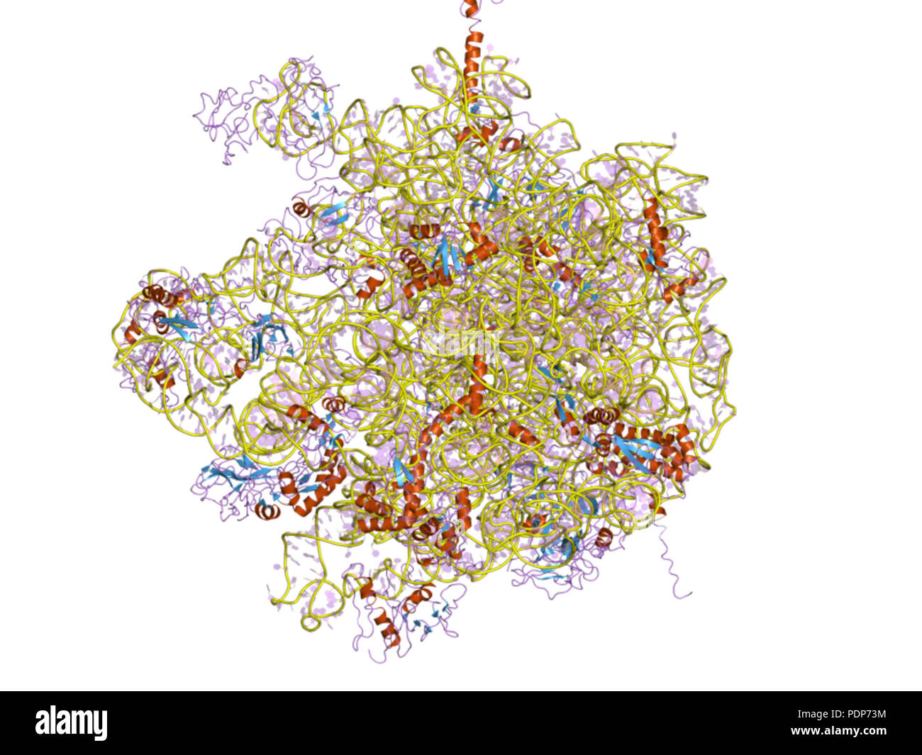 Science history historical archive archival hi-res stock photography ...