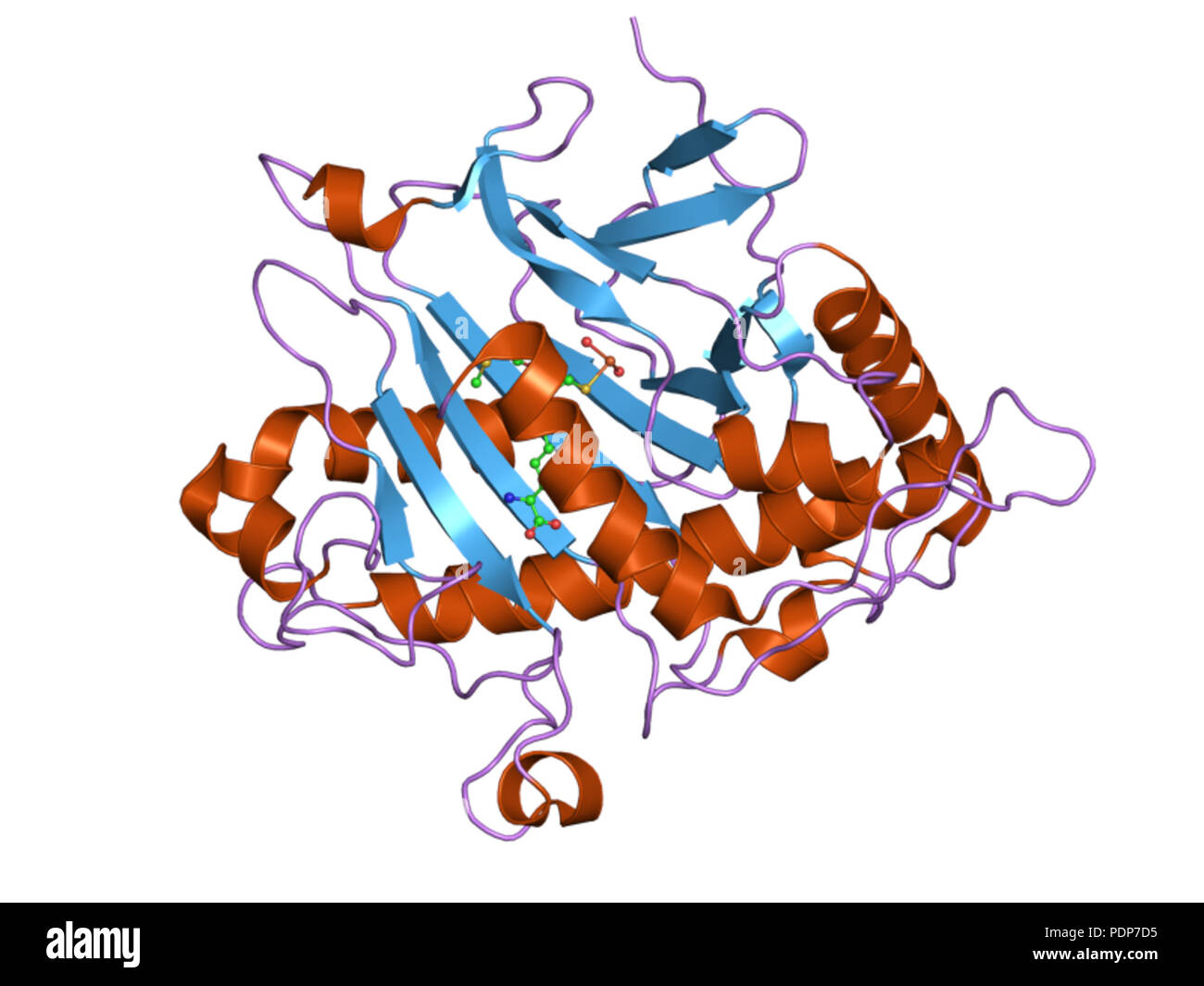 244 PDB 2vbd EBI Stock Photo - Alamy
