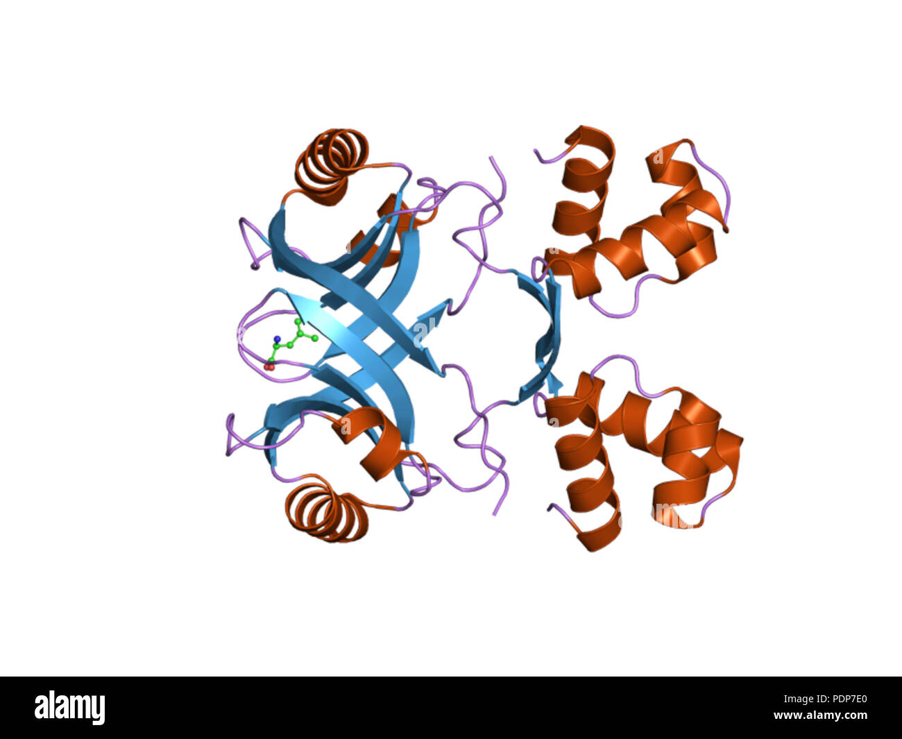 244 PDB 2vc0 EBI Stock Photo - Alamy