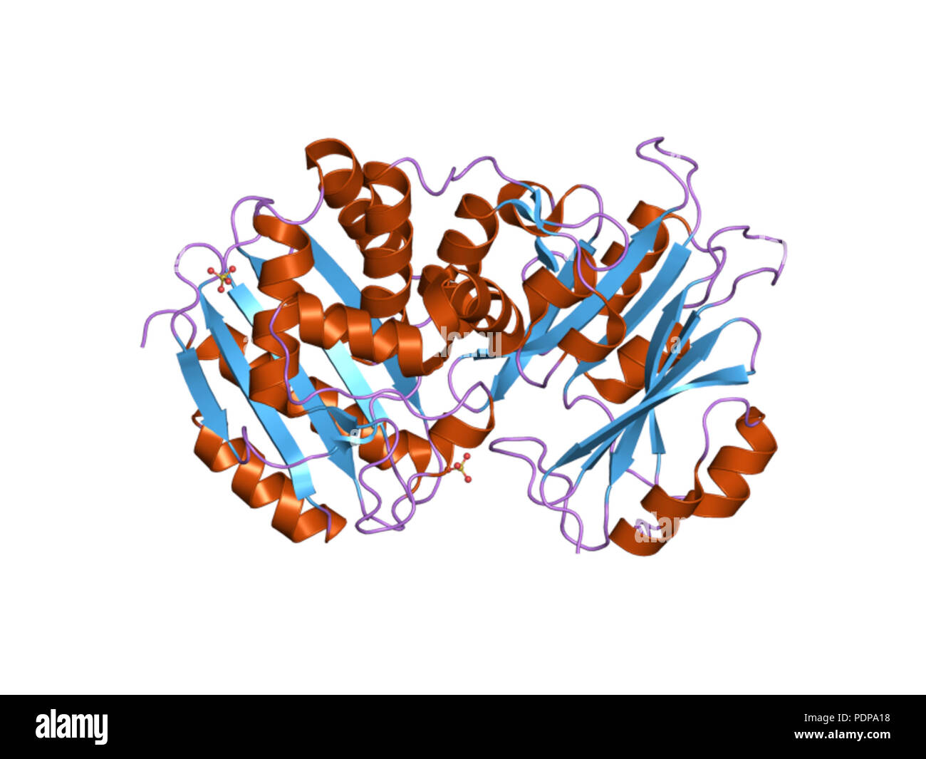 Botanical entry number hi-res stock photography and images - Alamy