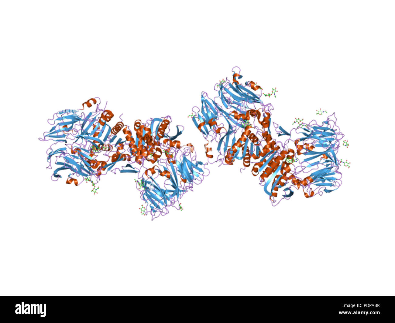 Dpp4 inhibitors hi-res stock photography and images - Alamy