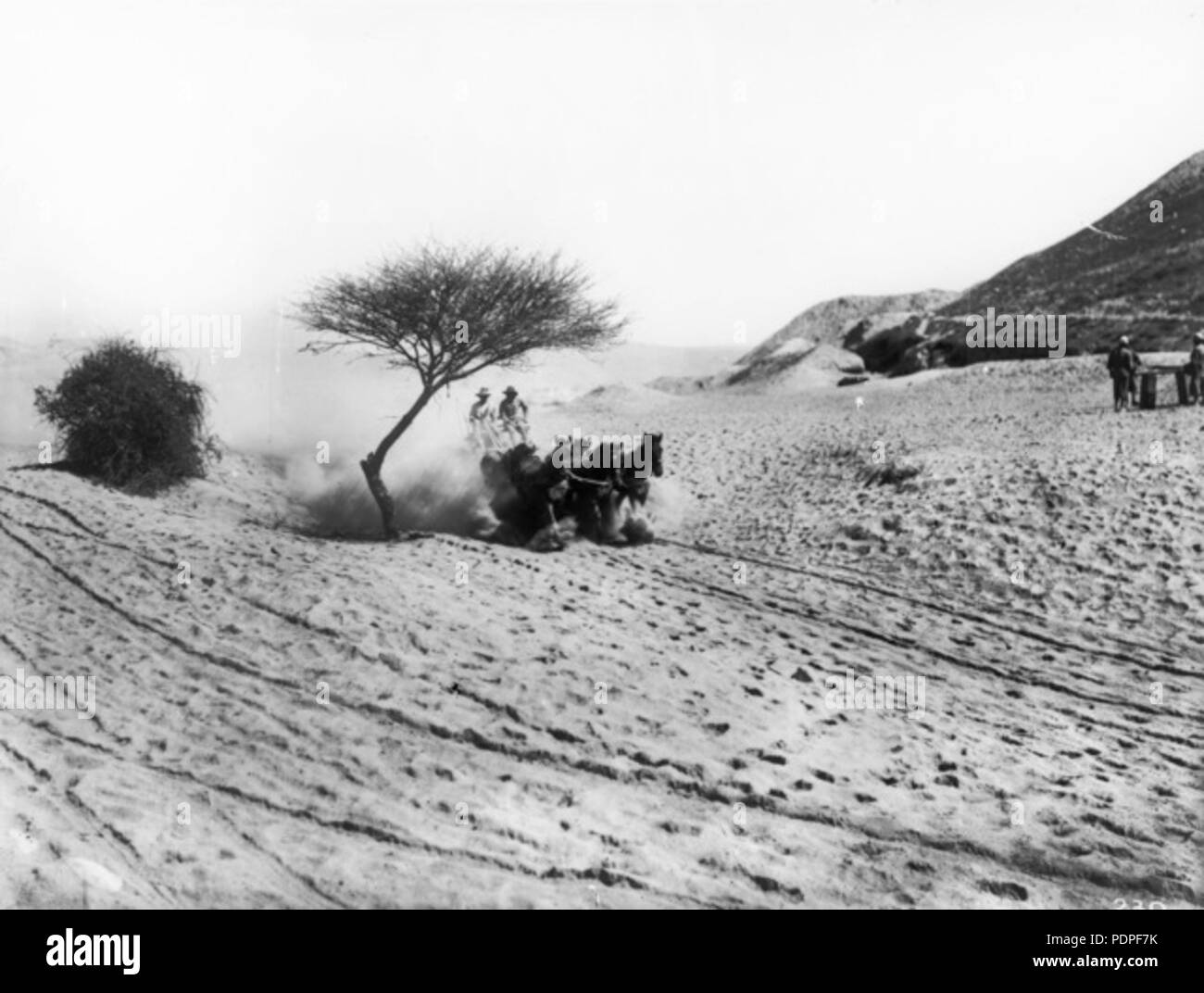18 Australian Light Horse wagon and team near Jericho Stock Photo Alamy