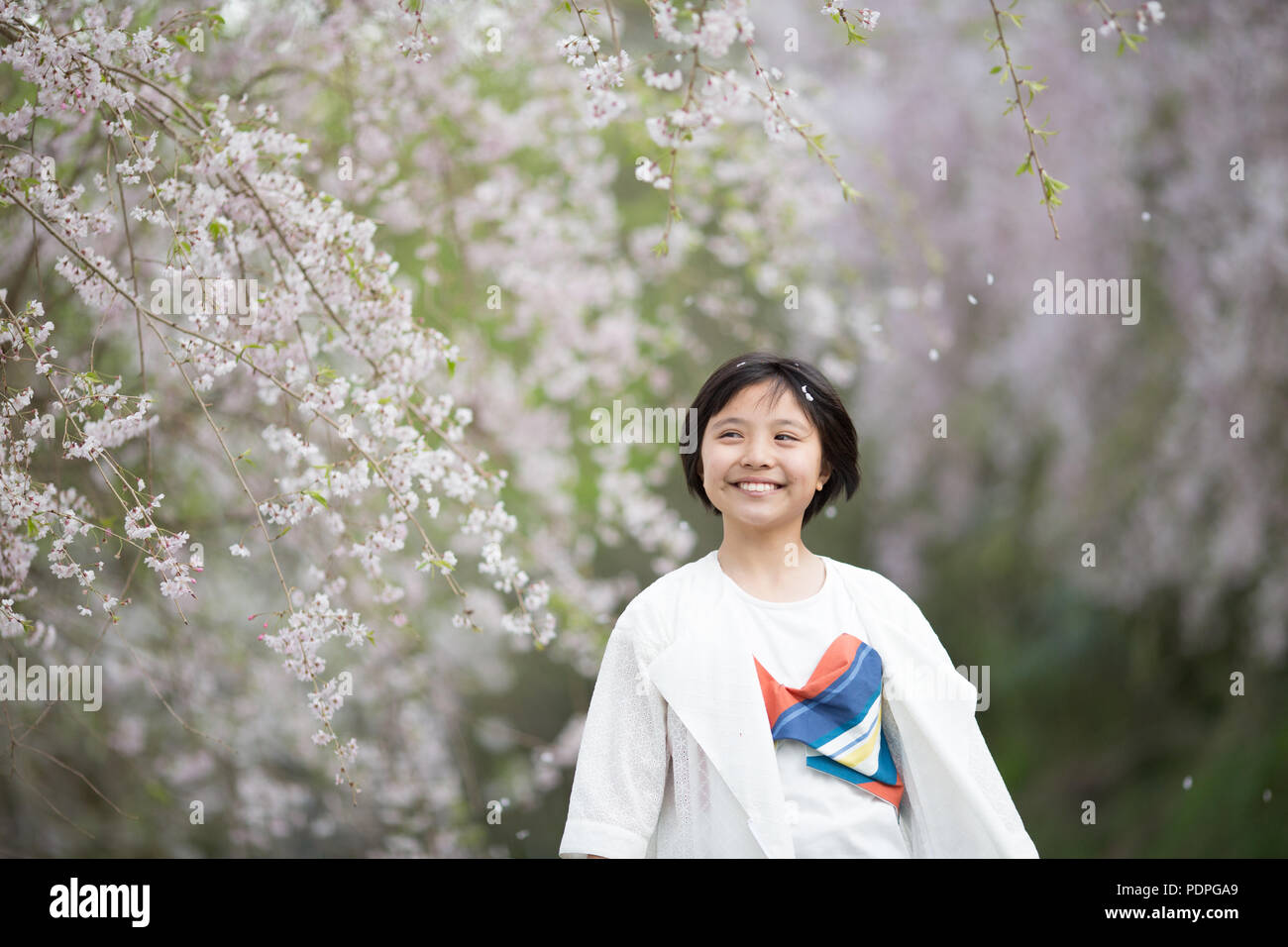 Girl with Cherry blossom Stock Photo - Alamy