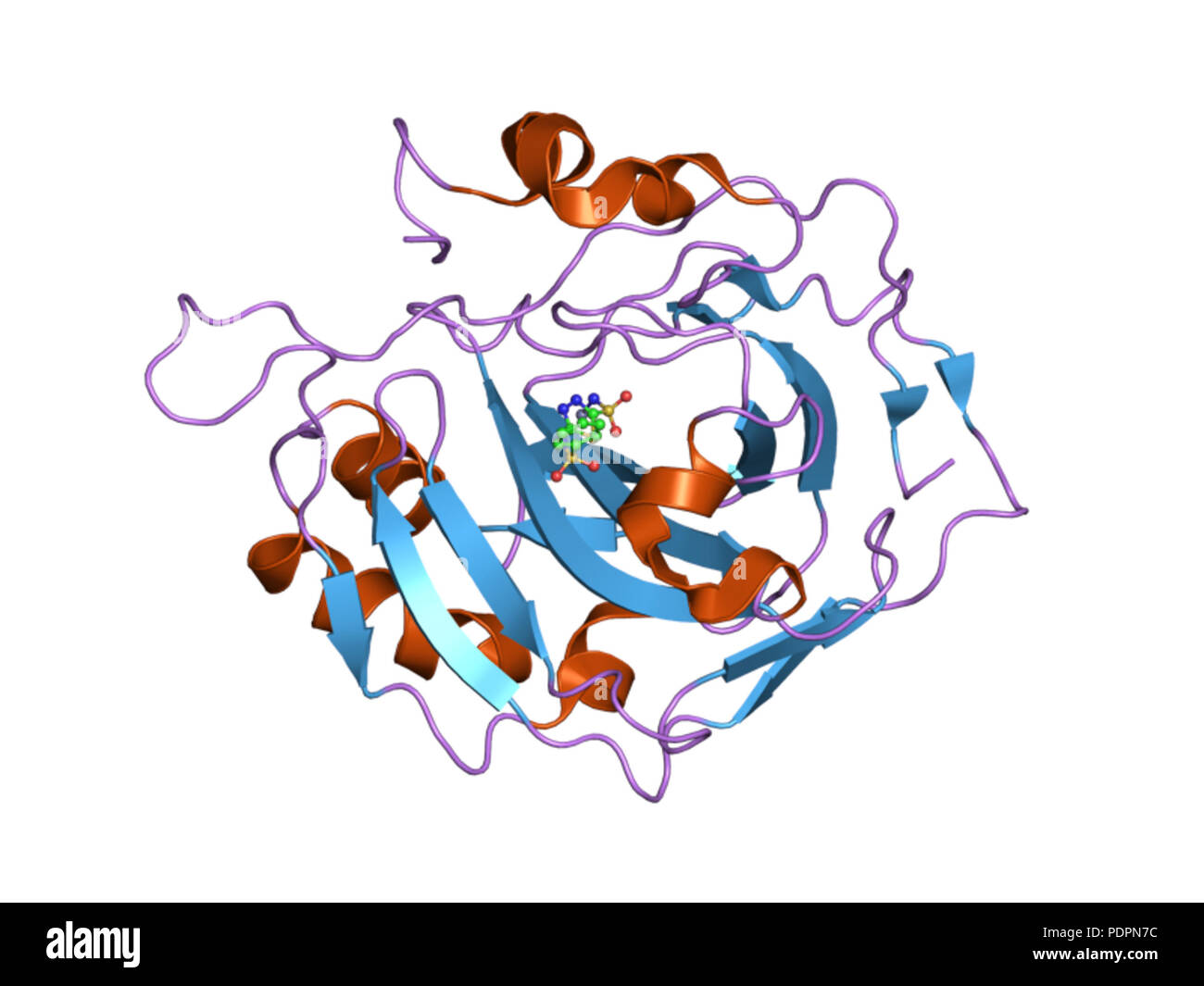 271 PDB 3dbu EBI Stock Photo - Alamy