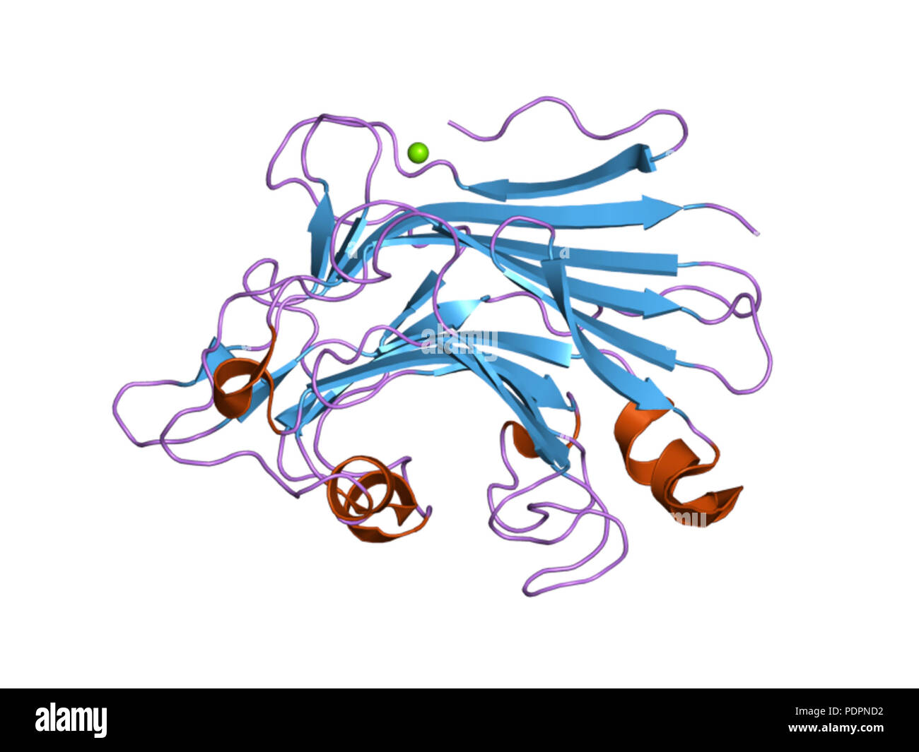 Biomolecular structures hi-res stock photography and images - Alamy