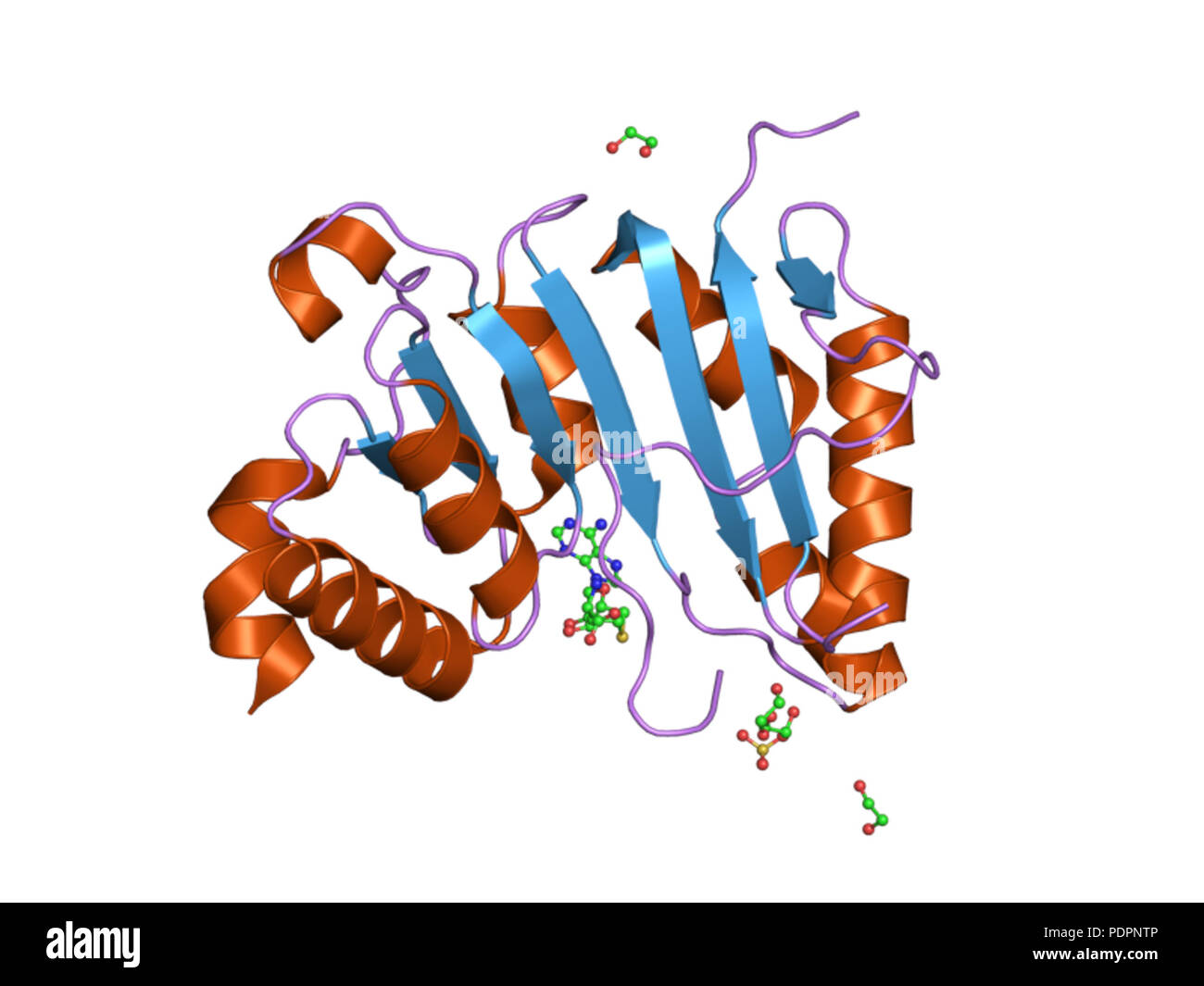Enzyme (e) e s (activé) hi-res stock photography and images - Alamy