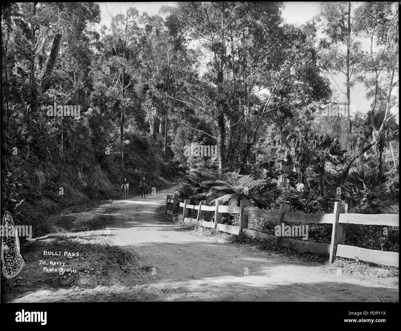 28 Bulli Pass (4903265461) Stock Photo