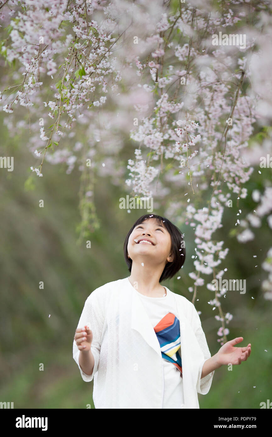 Girl and cherry blossom hi-res stock photography and images - Alamy