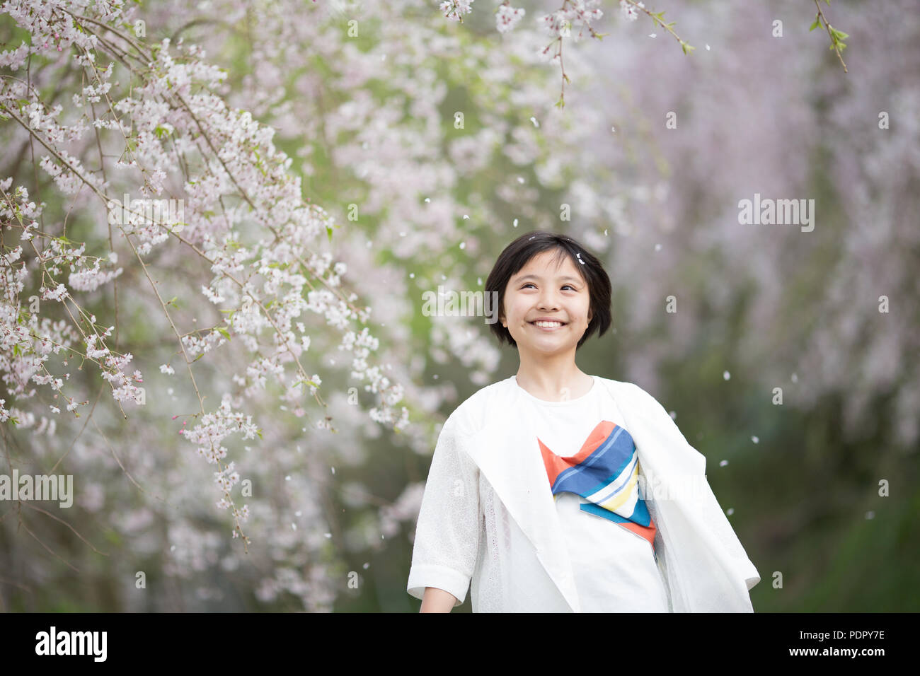 Girl Cherry Blossom High Resolution Stock Photography and Images - Alamy