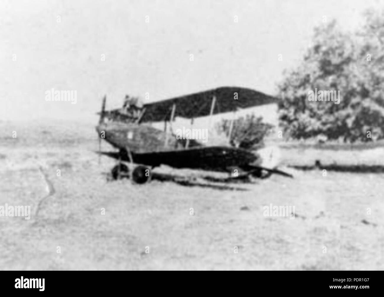 51 German DFW C.V at Afule aerodrome 1918 Stock Photo