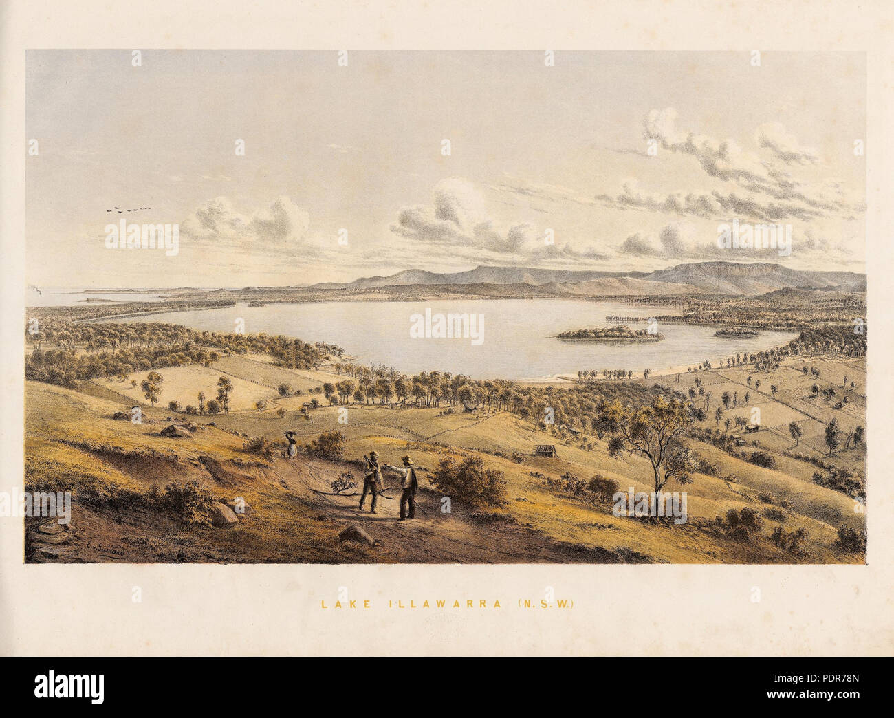 76 Lake Illawarra NSW Stock Photo