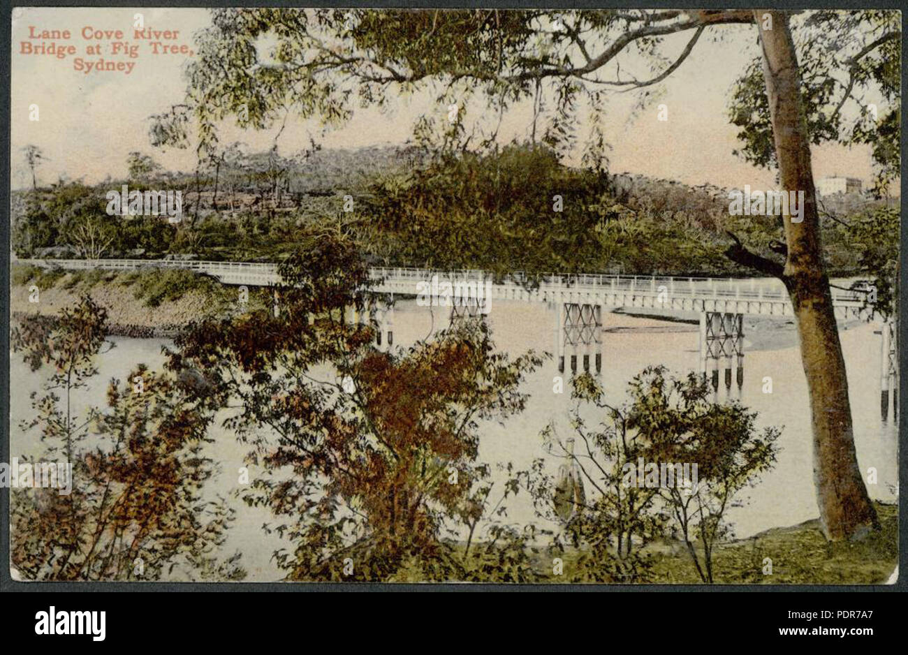 77 Lane Cove River Bridge, Fig Tree, Sydney, 1908 (8286885962 Stock ...
